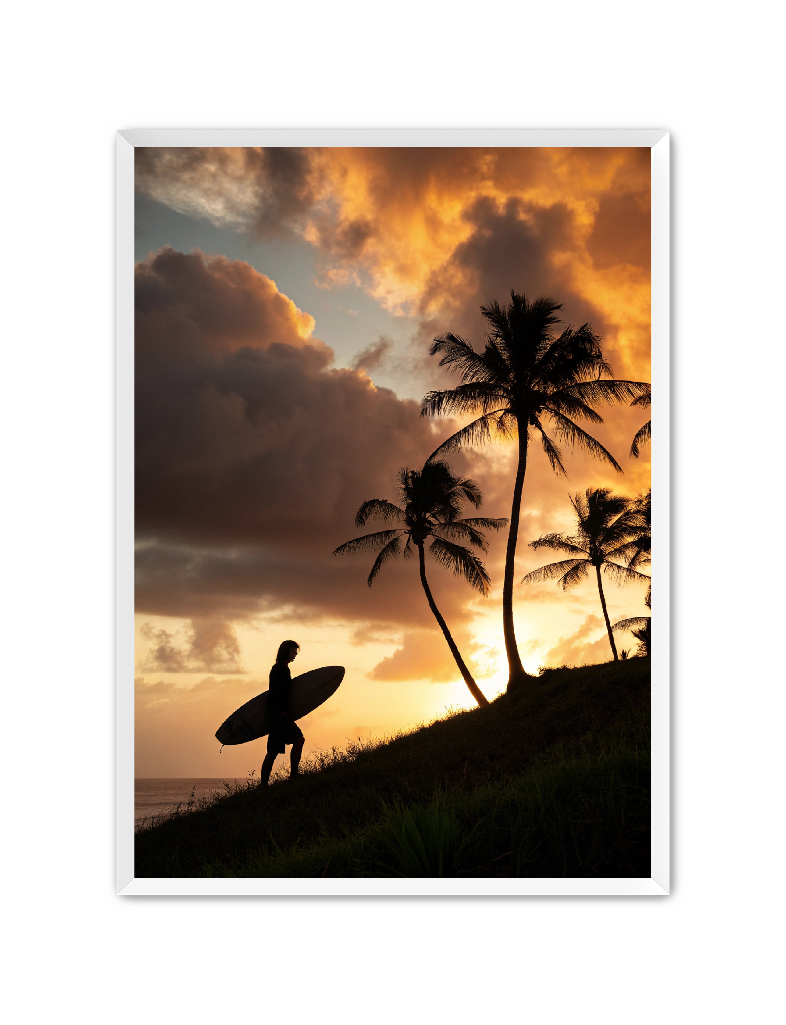 Apricus Prints Beaches 'Homeward Climb' Apricus Art Collection