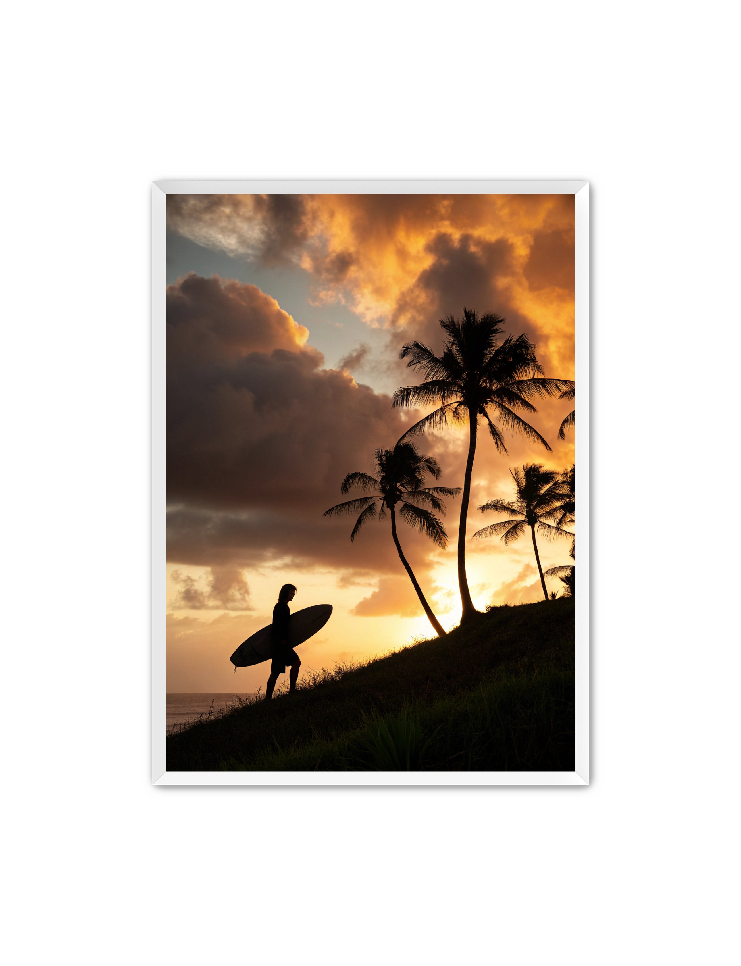 Apricus Prints Beaches 'Homeward Climb' Apricus Art Collection