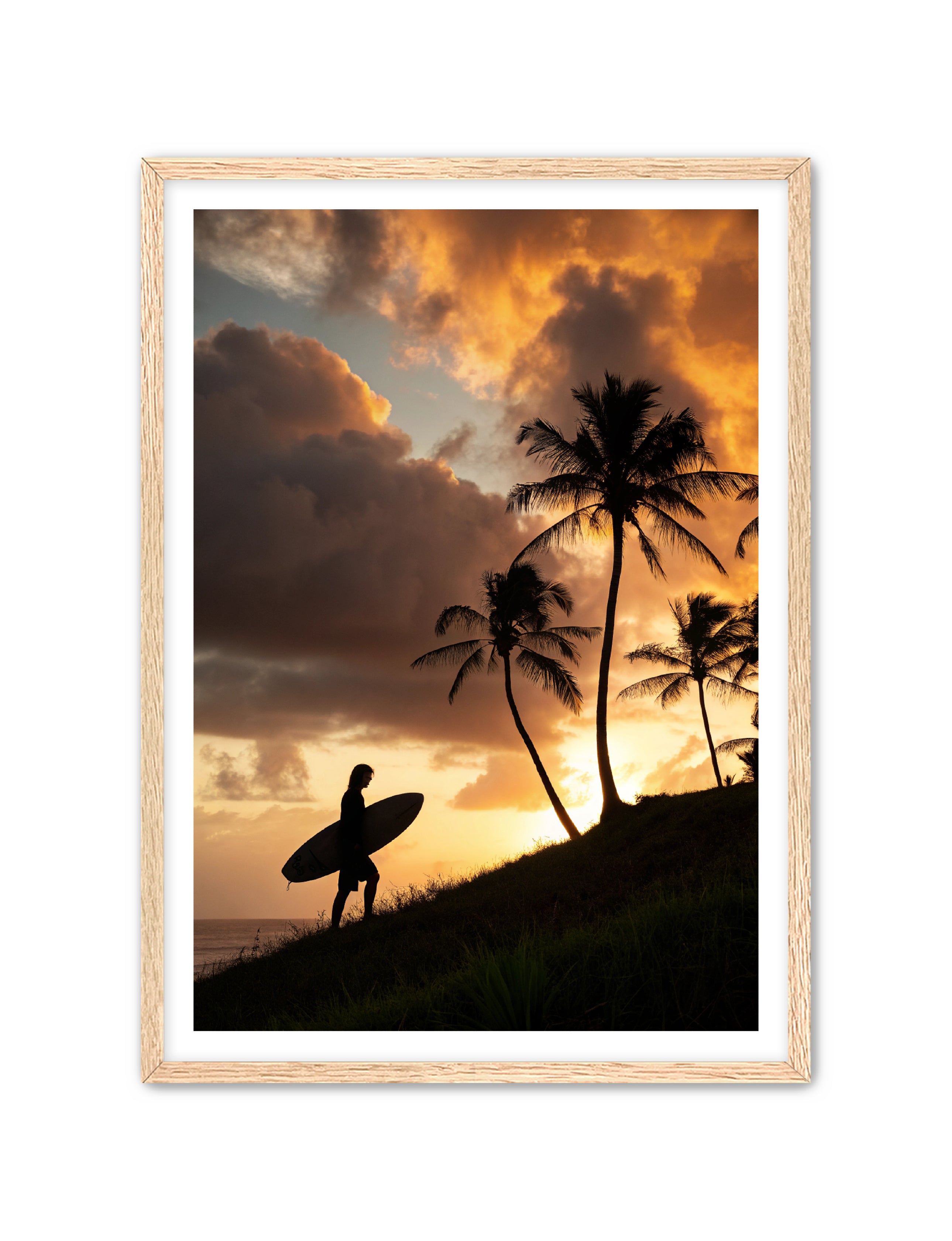 Apricus Prints Beaches 'Homeward Climb' Apricus Art Collection