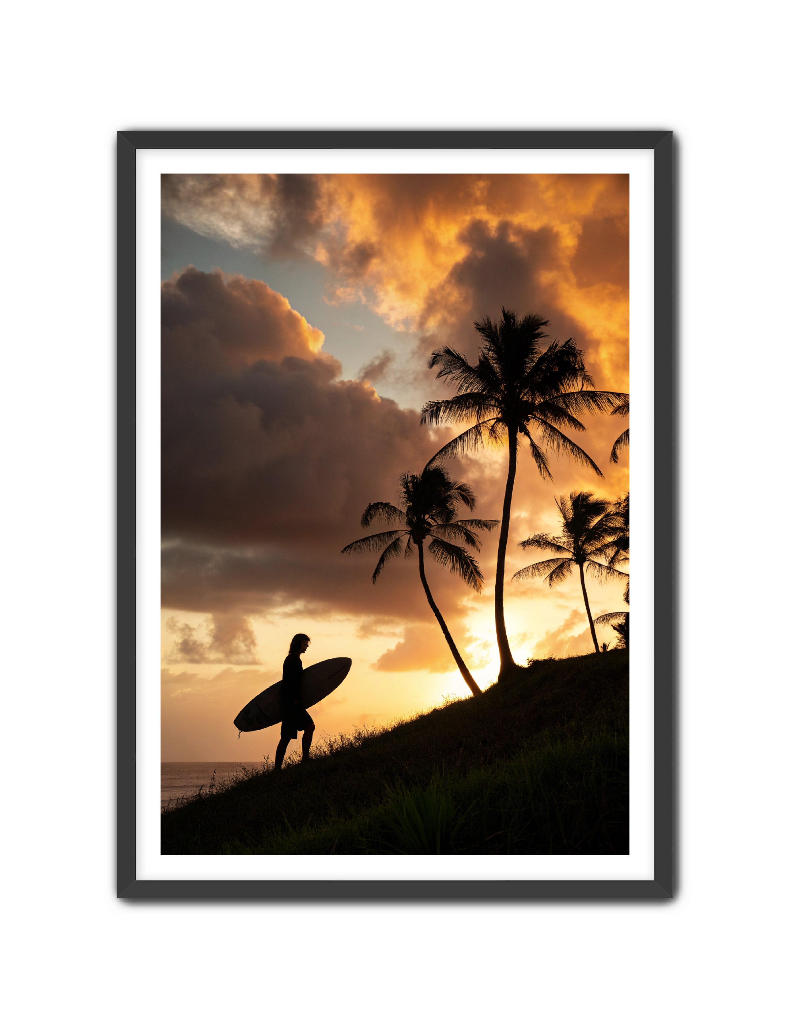 Apricus Prints Beaches 'Homeward Climb' Apricus Art Collection