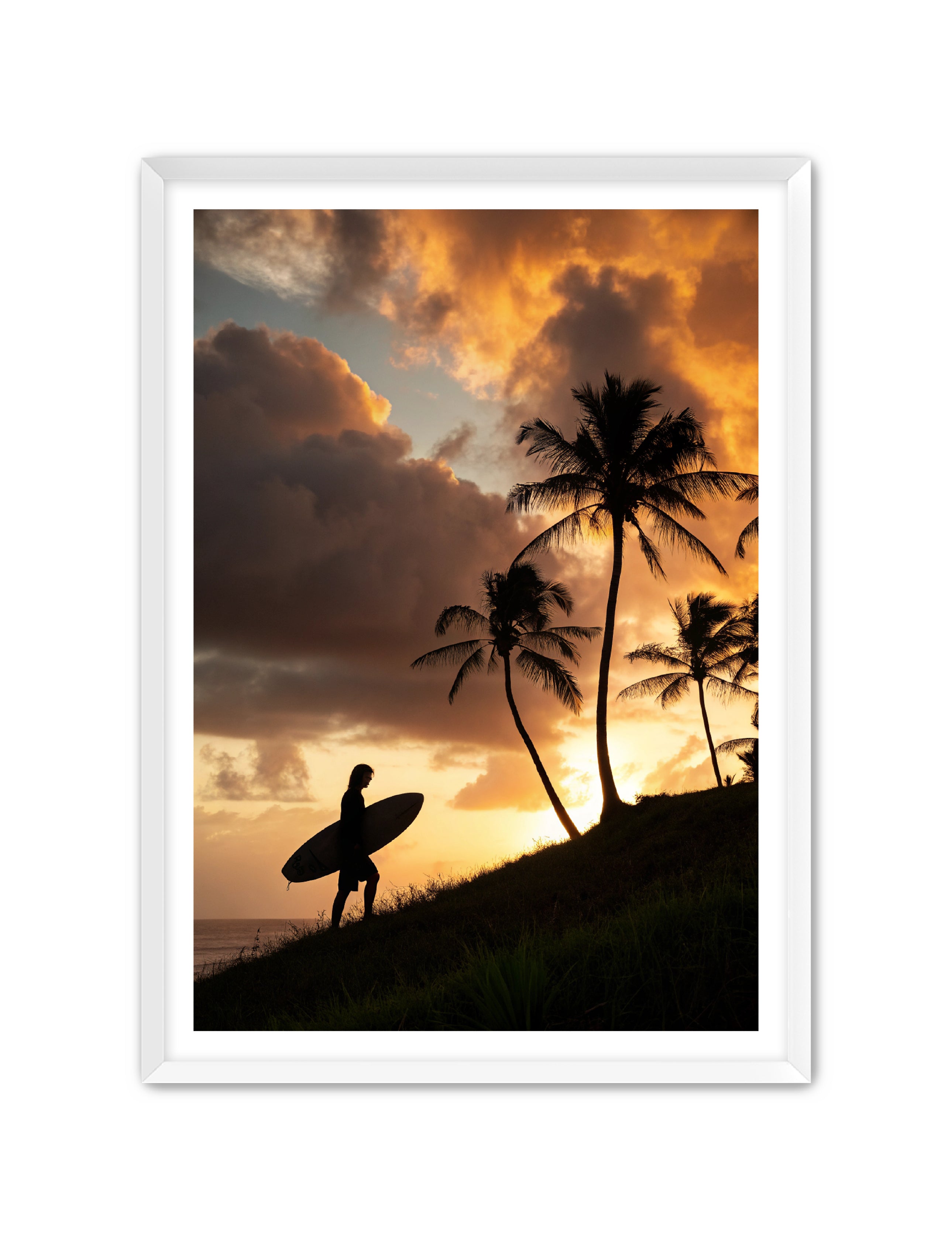 Apricus Prints Beaches 'Homeward Climb' Apricus Art Collection