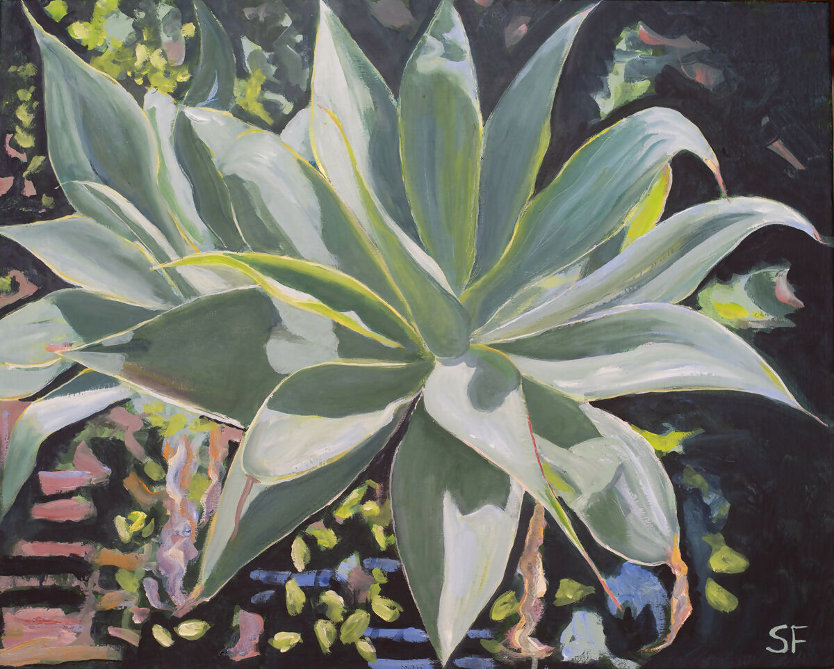 Oil Painting Agave Stuart Franklin