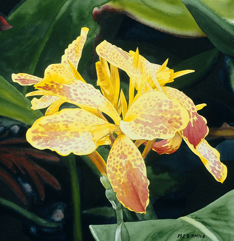 Watercolor Canna Nature by MJ