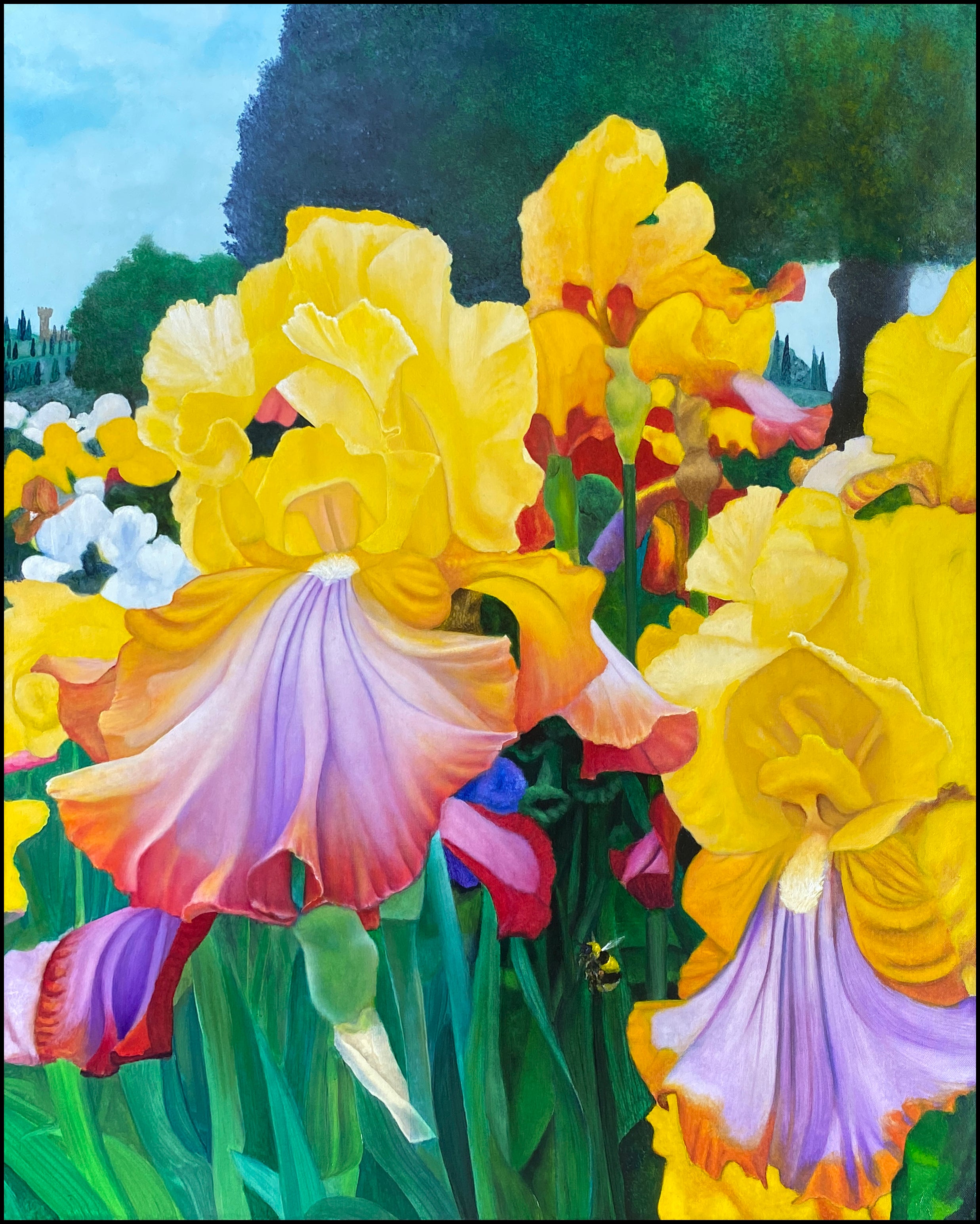 Oil 'IRIS GARDEN' - Oil on Canvas Apricus Art Collection