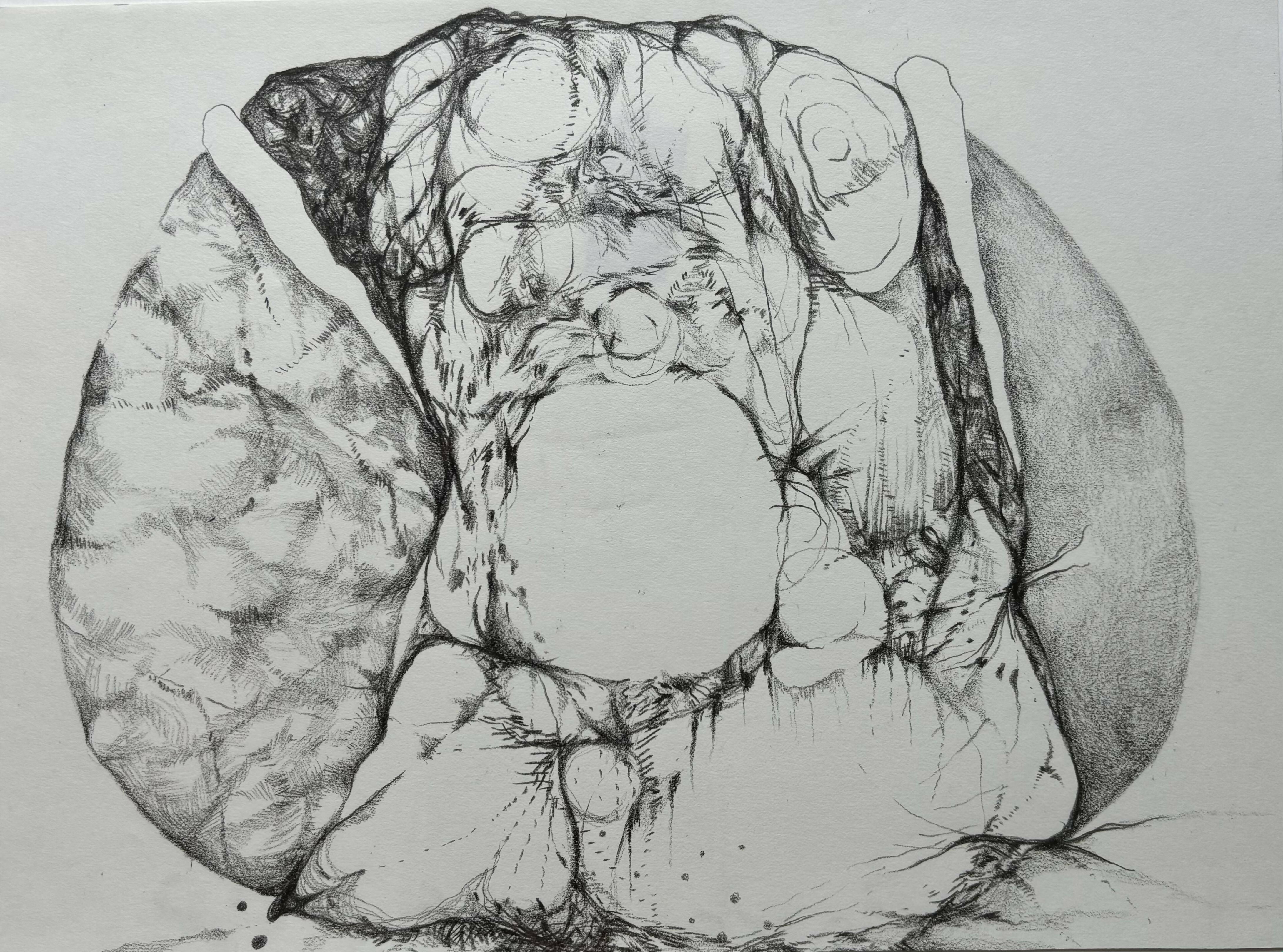 Abstract Drawing Pencil Doughnut Universe Sofia Barbaresco