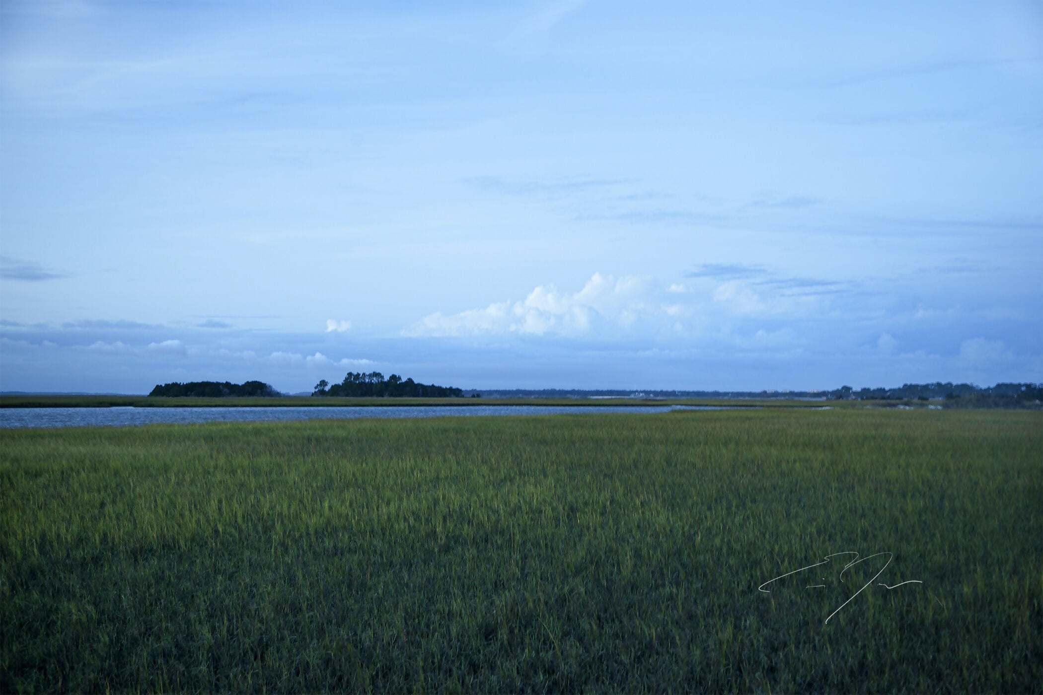 Art Contemporary Landscape Photography Prints Green Pasture Eric C. Jackson Studio