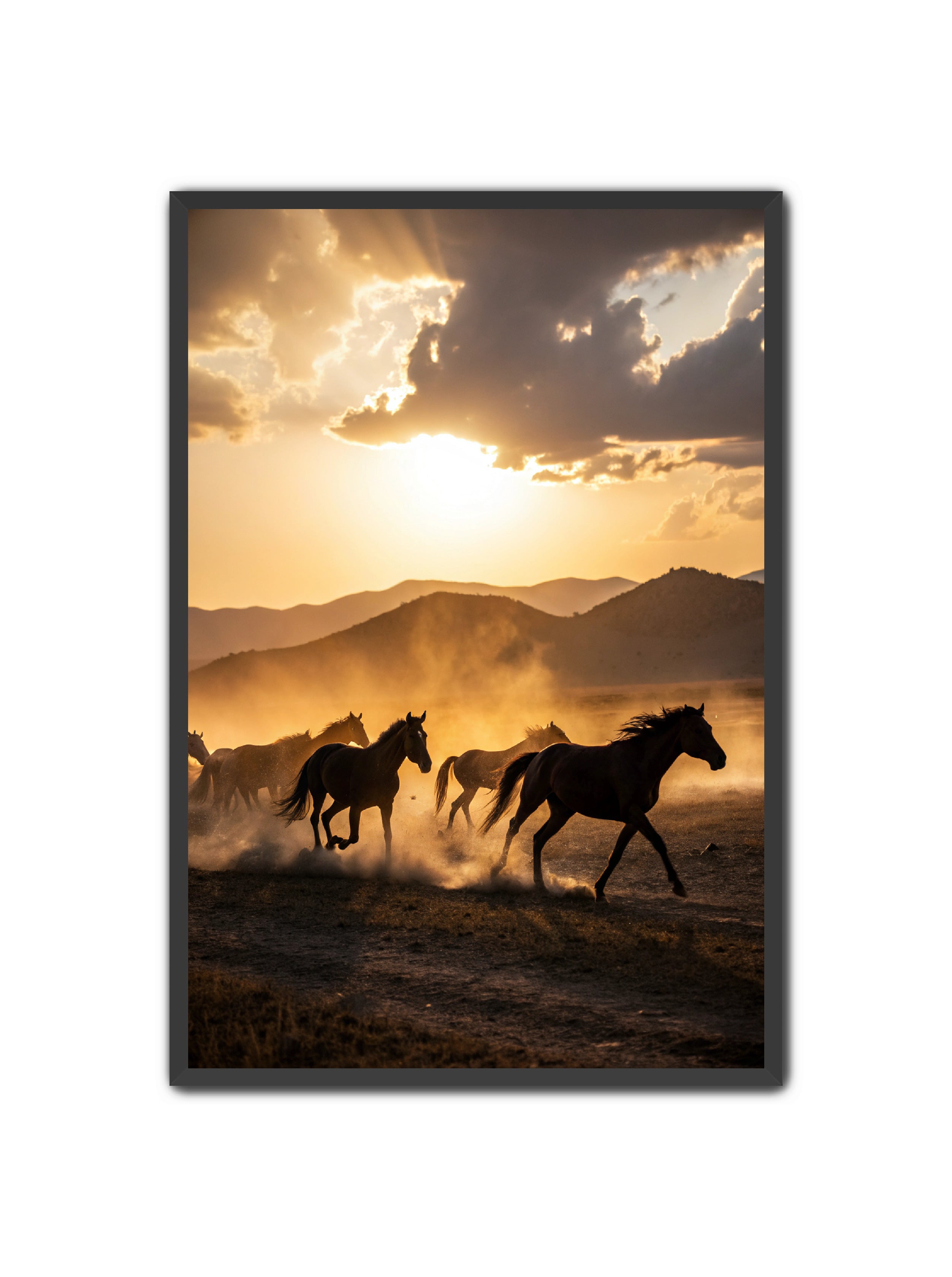 Apricus Prints Vaquero 'Keepers of The Ridge' Apricus Art Collection