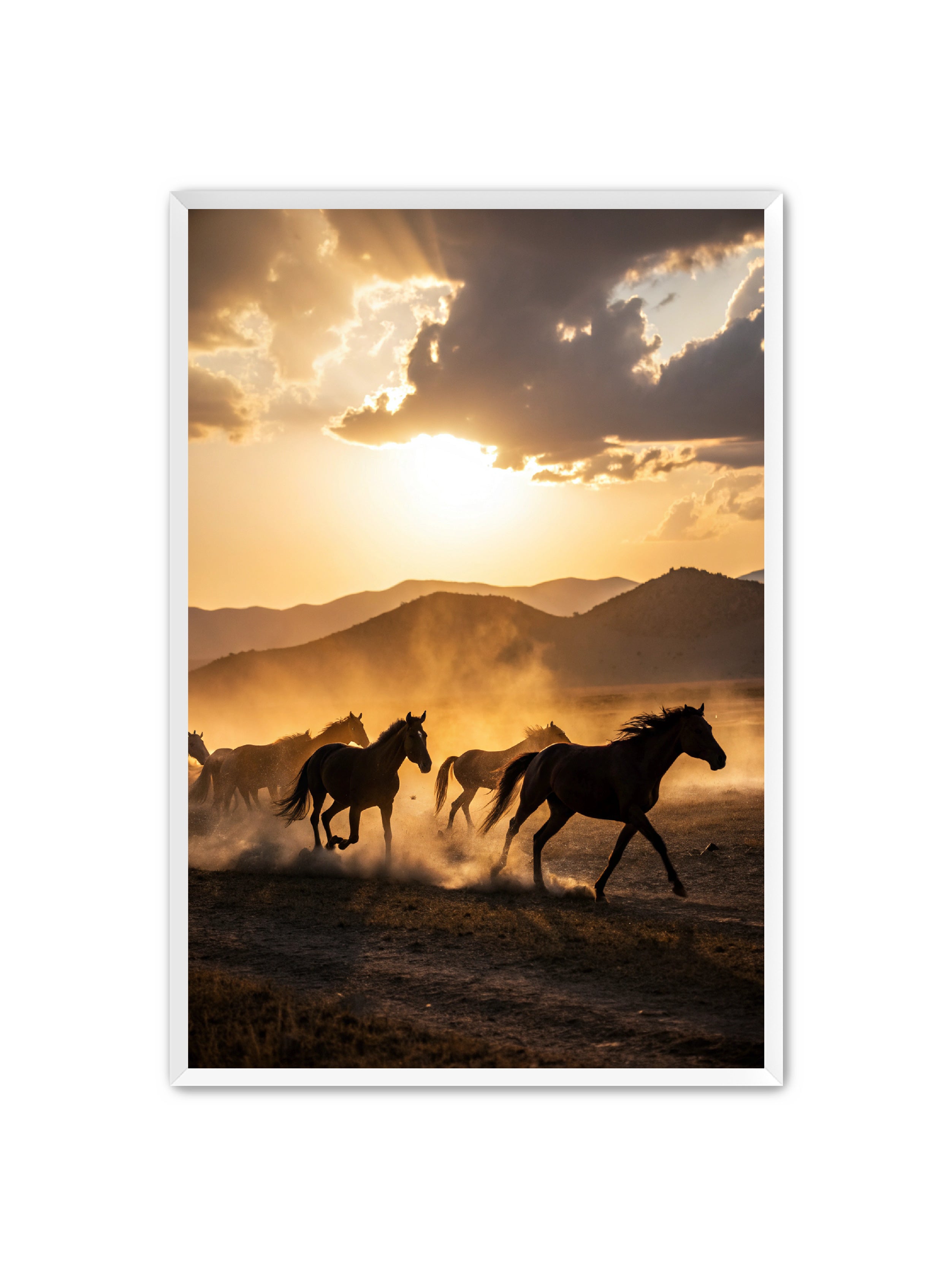 Apricus Prints Vaquero 'Keepers of The Ridge' Apricus Art Collection