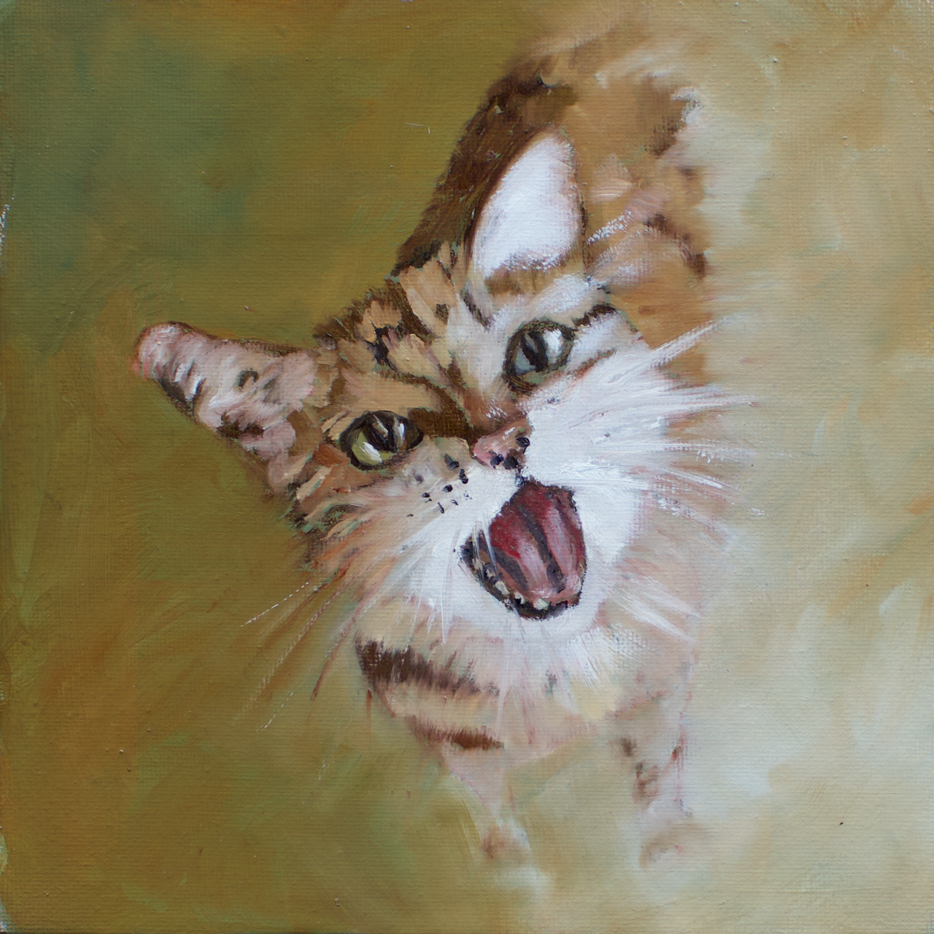 Oil 'MY CAT' - Oil on Canvas Heather Bailey