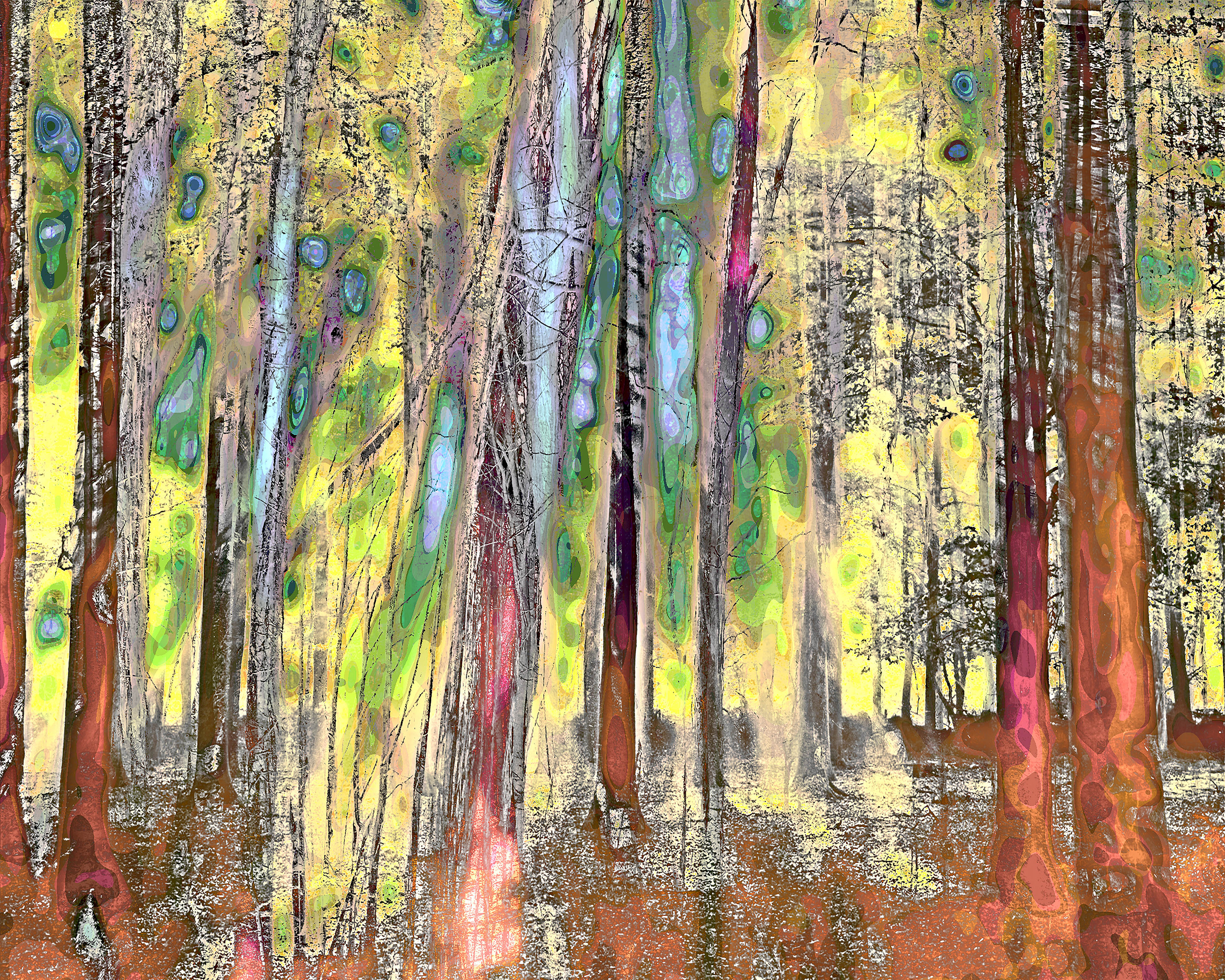 'MYSTIFYING FORREST 5'
