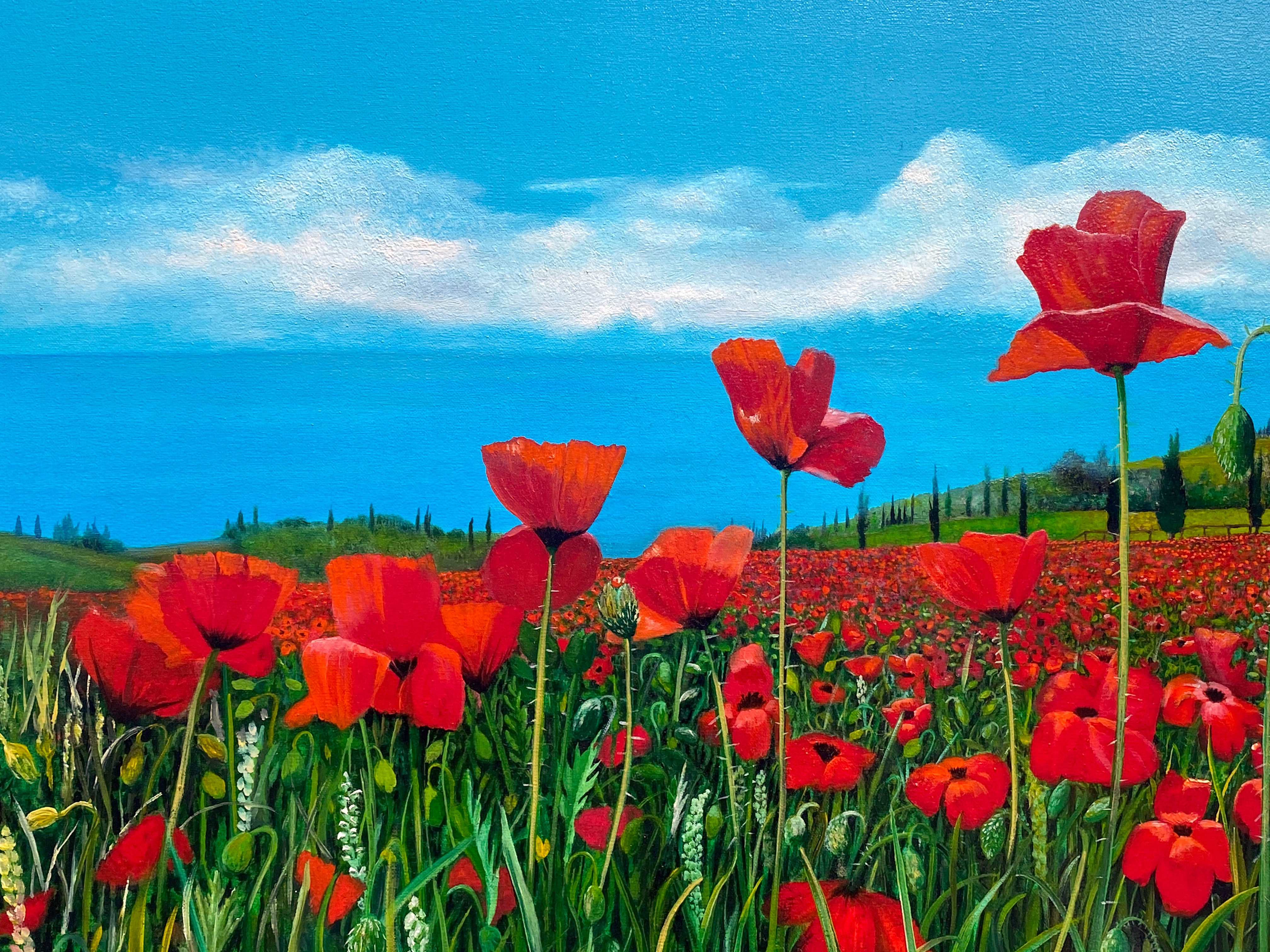 Oil 'POPPIES ON ELBA' - Oil on Canvas Apricus Art Collection