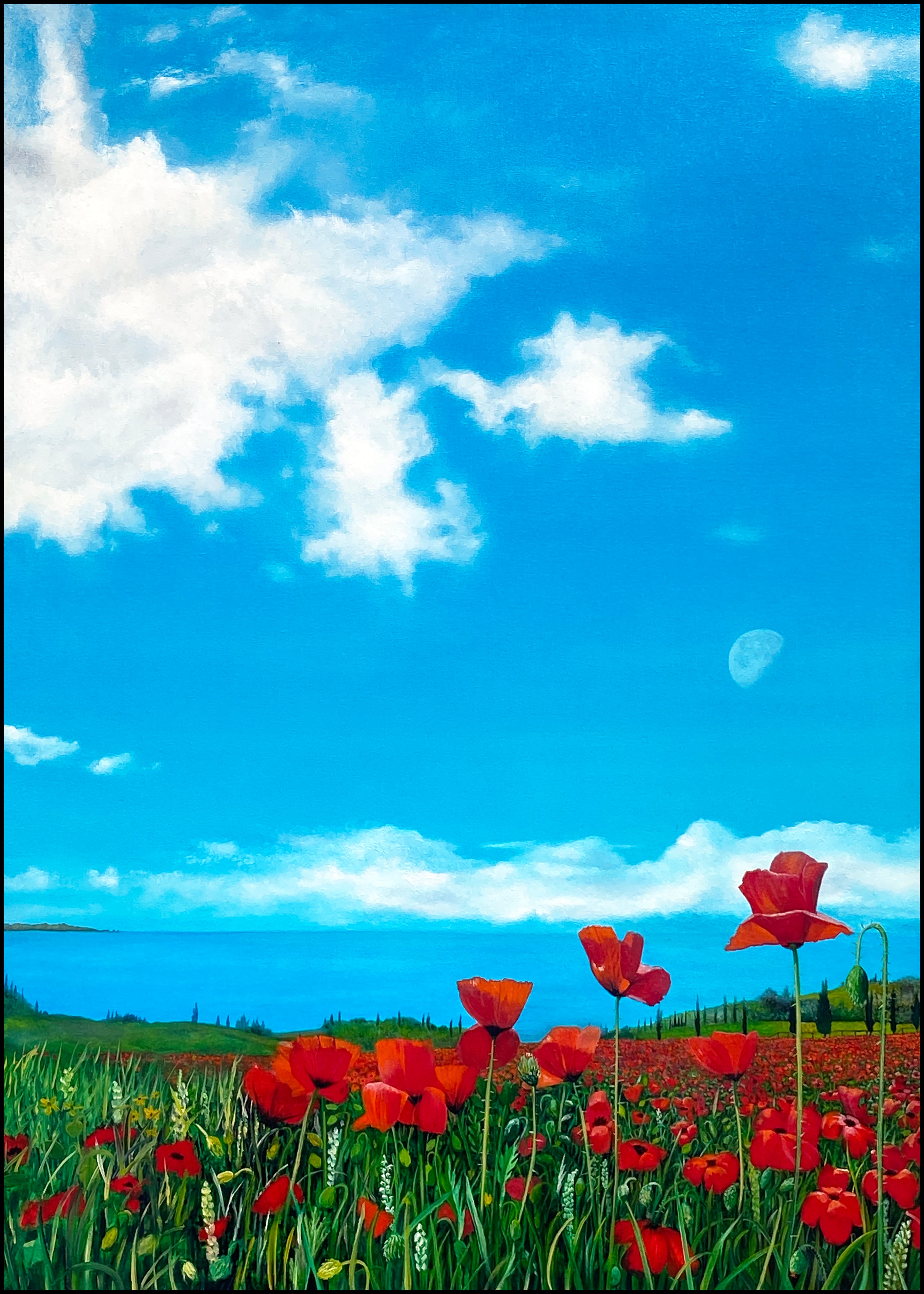 Oil 'POPPIES ON ELBA' - Oil on Canvas Apricus Art Collection