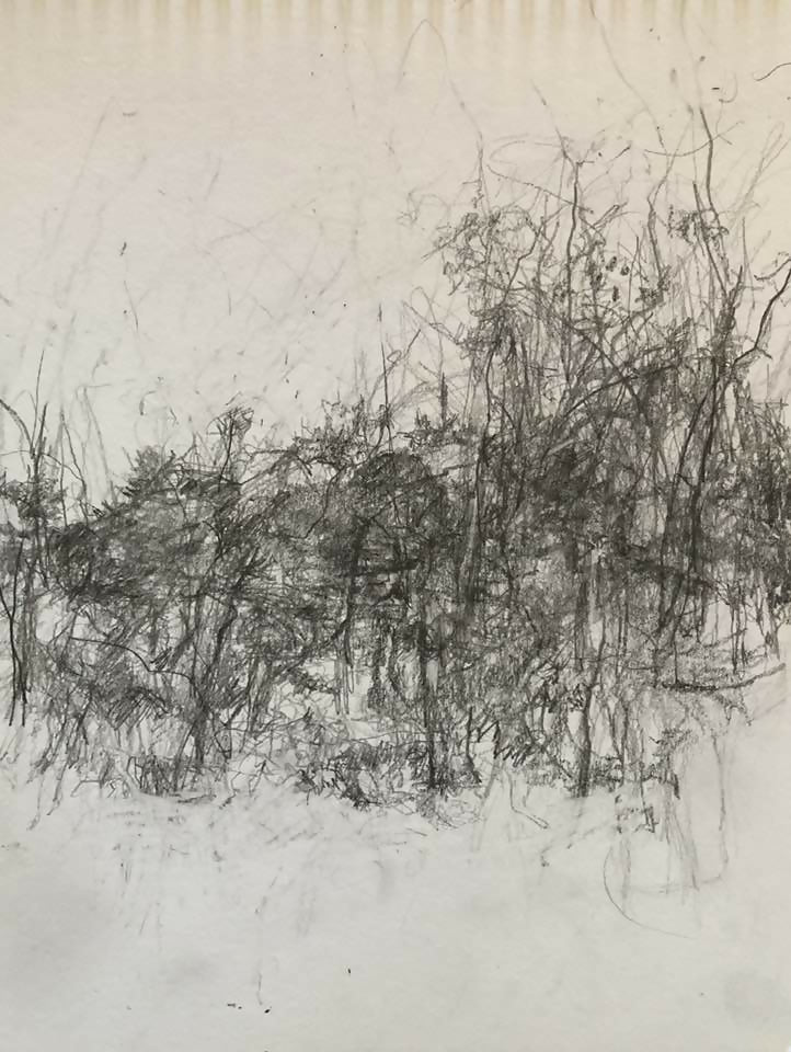 drawing Landscape 11.8 Carol Heft