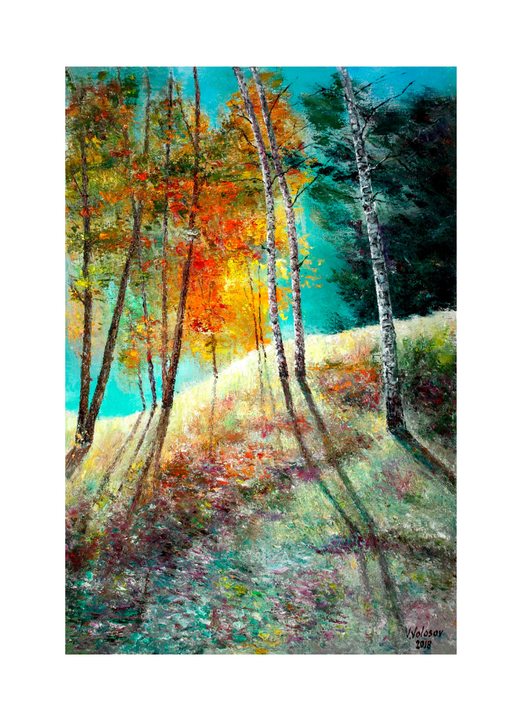 'SUNNY FOREST' - Oil on Canvas