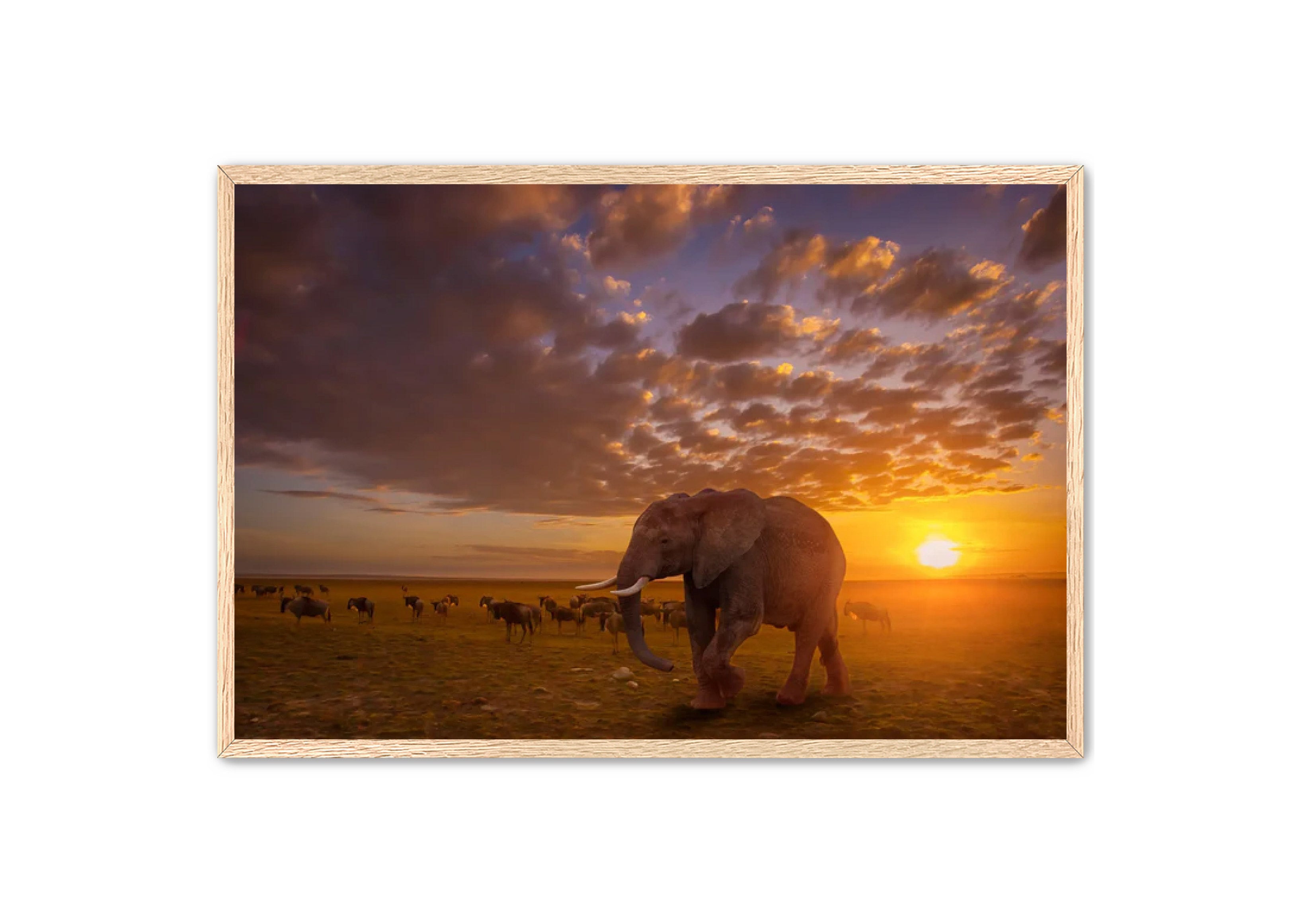 Apricus Prints 'SUNSET WANDERERS' Apricus Art Collection