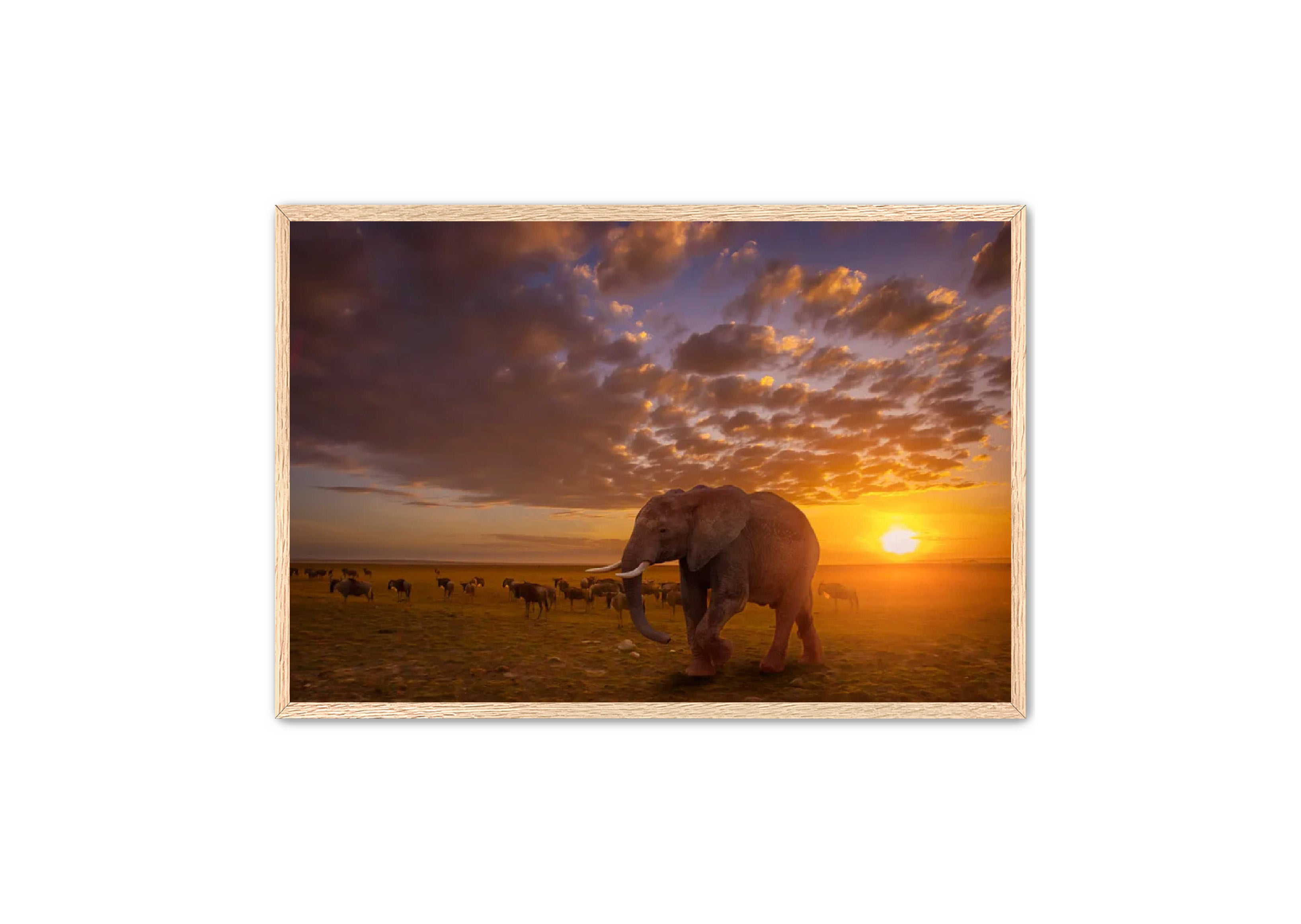 Apricus Prints 'SUNSET WANDERERS' Apricus Art Collection