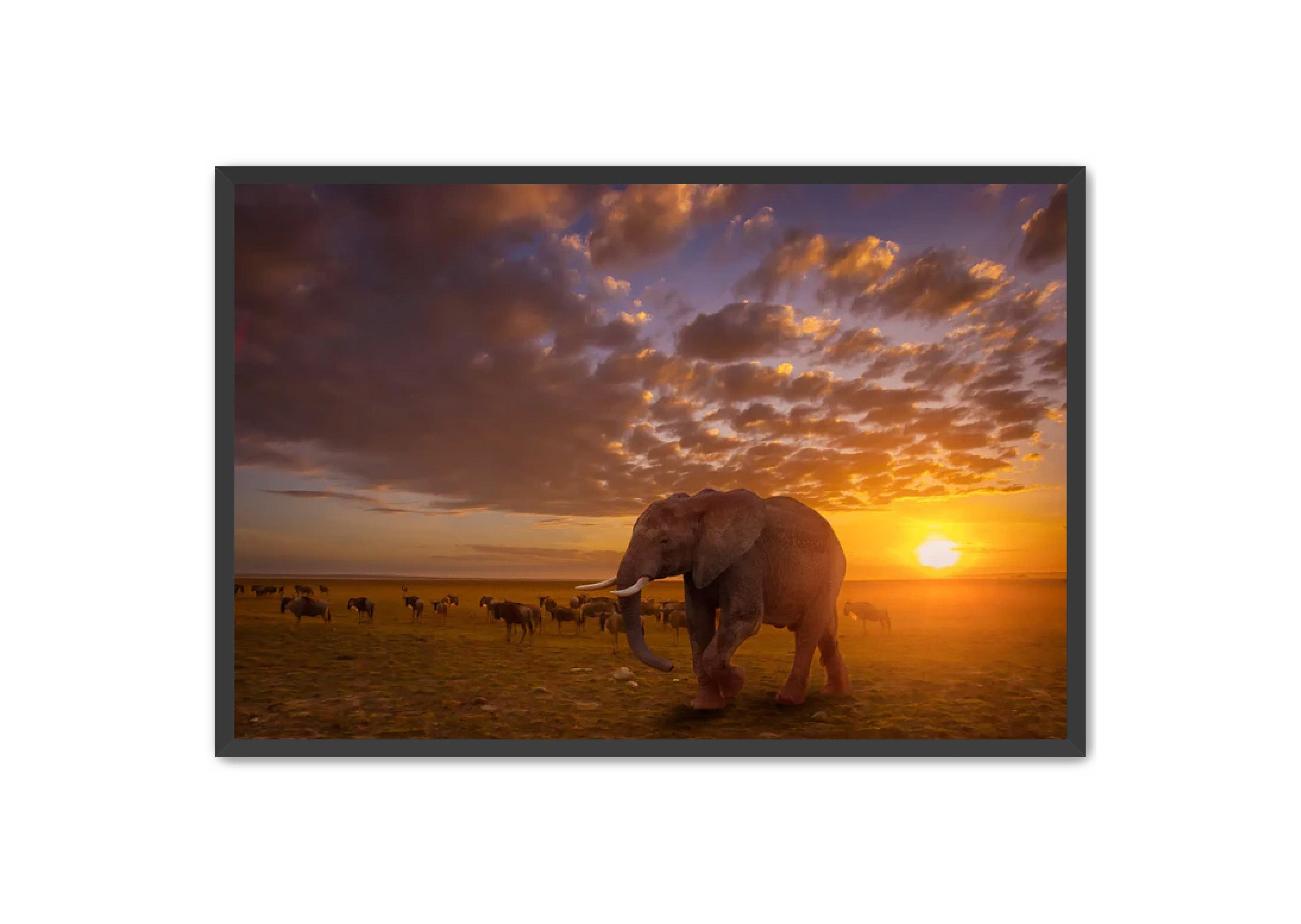 Apricus Prints 'SUNSET WANDERERS' Apricus Art Collection