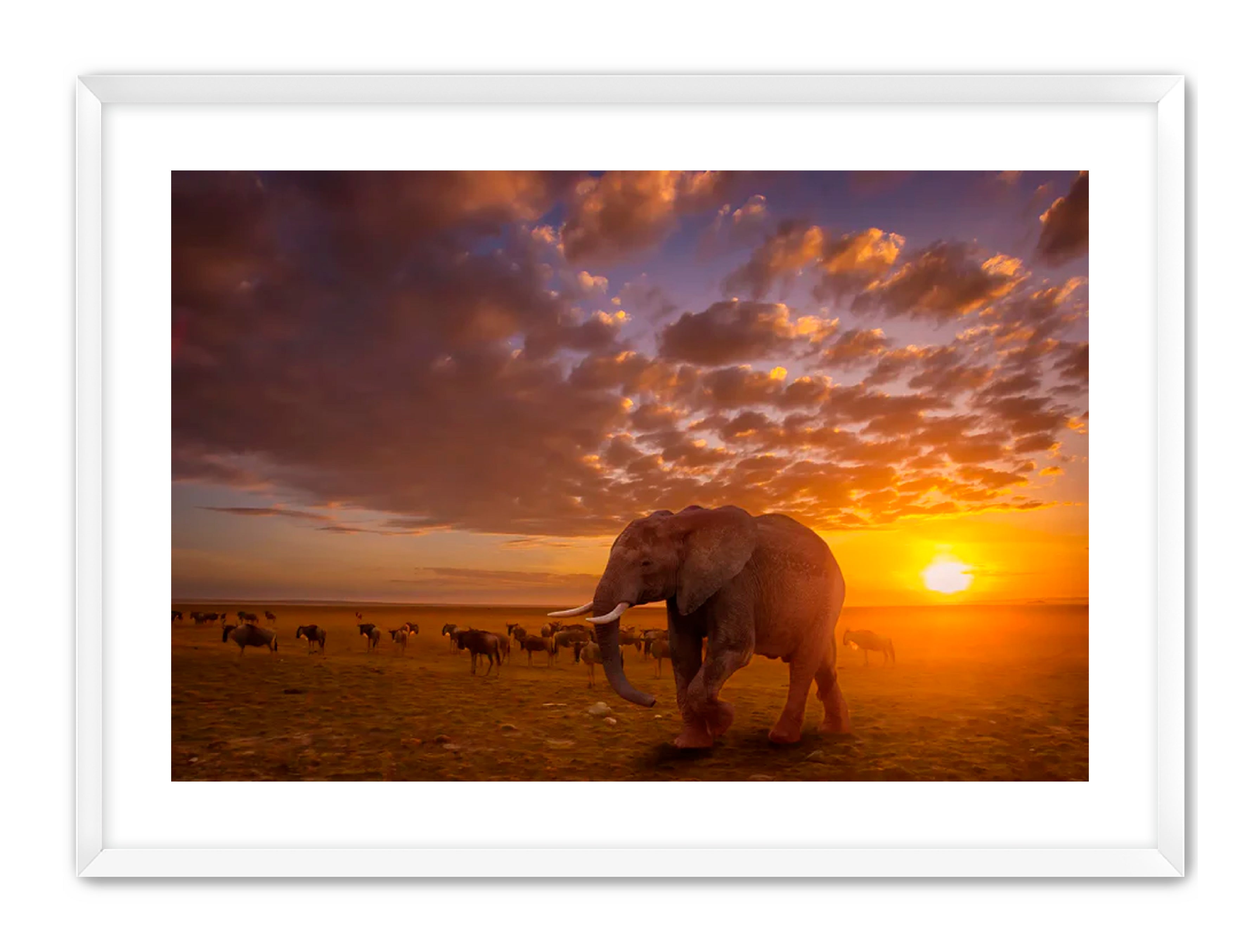 Apricus Prints 'SUNSET WANDERERS' Apricus Art Collection