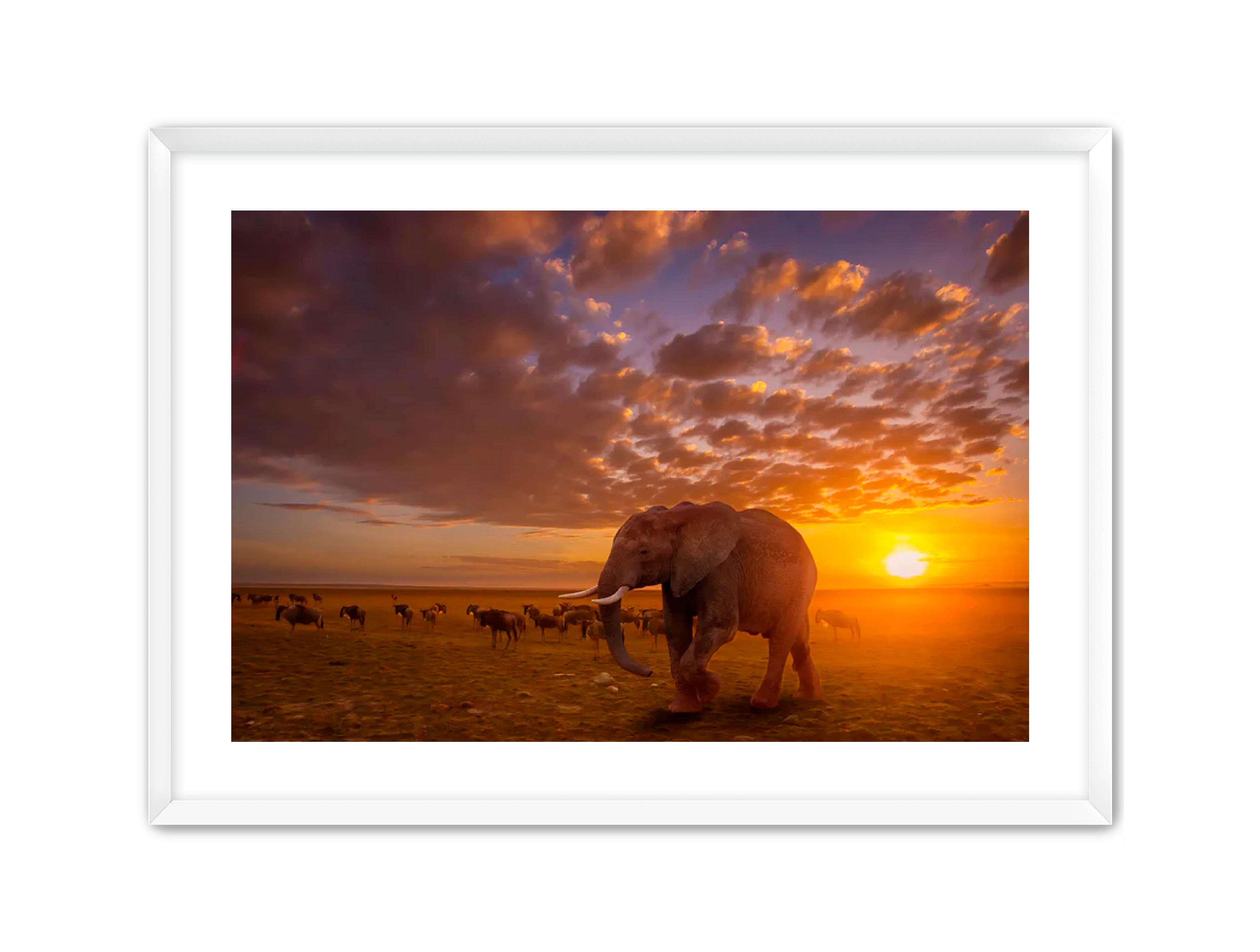 Apricus Prints 'SUNSET WANDERERS' Apricus Art Collection