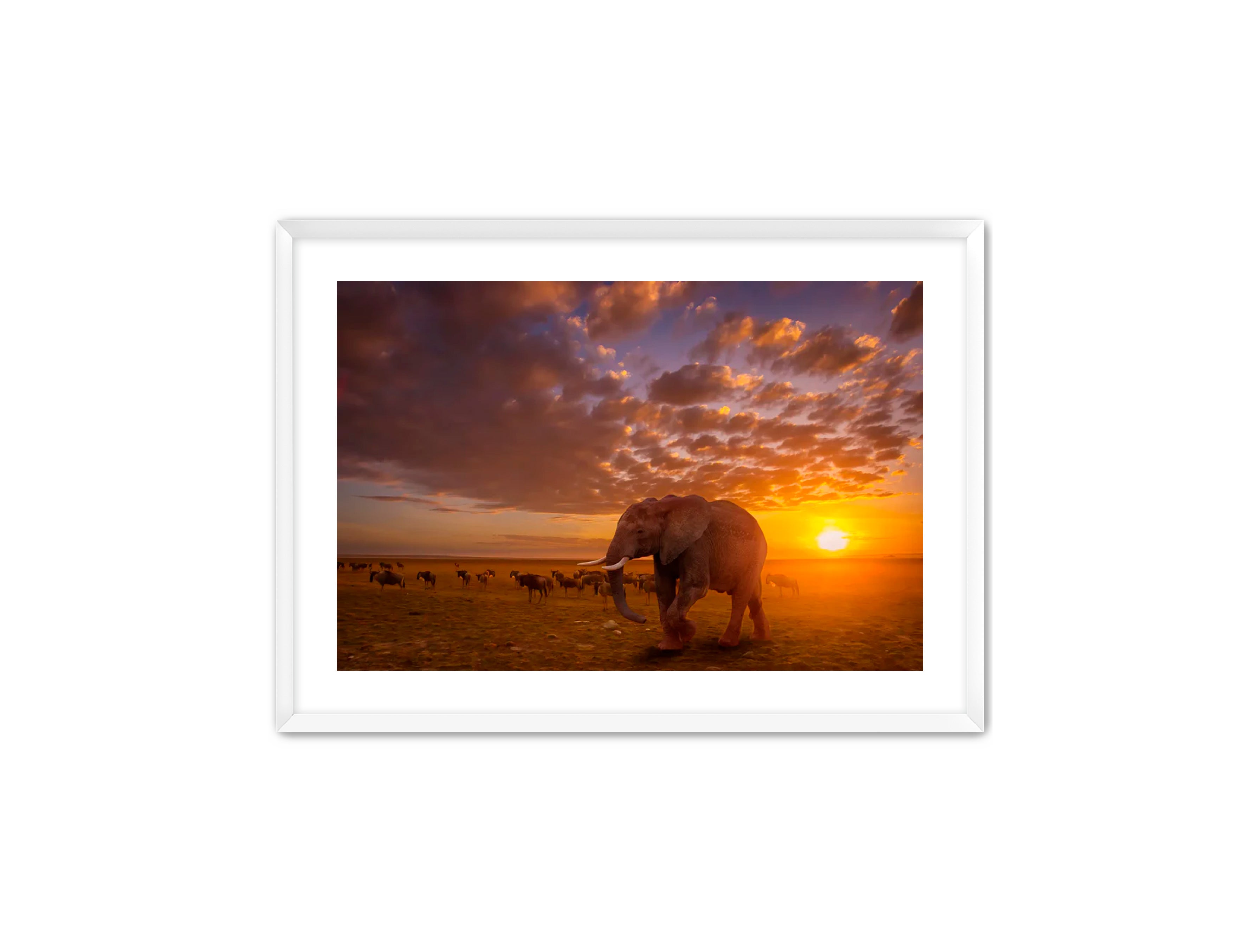 Apricus Prints 'SUNSET WANDERERS' Apricus Art Collection