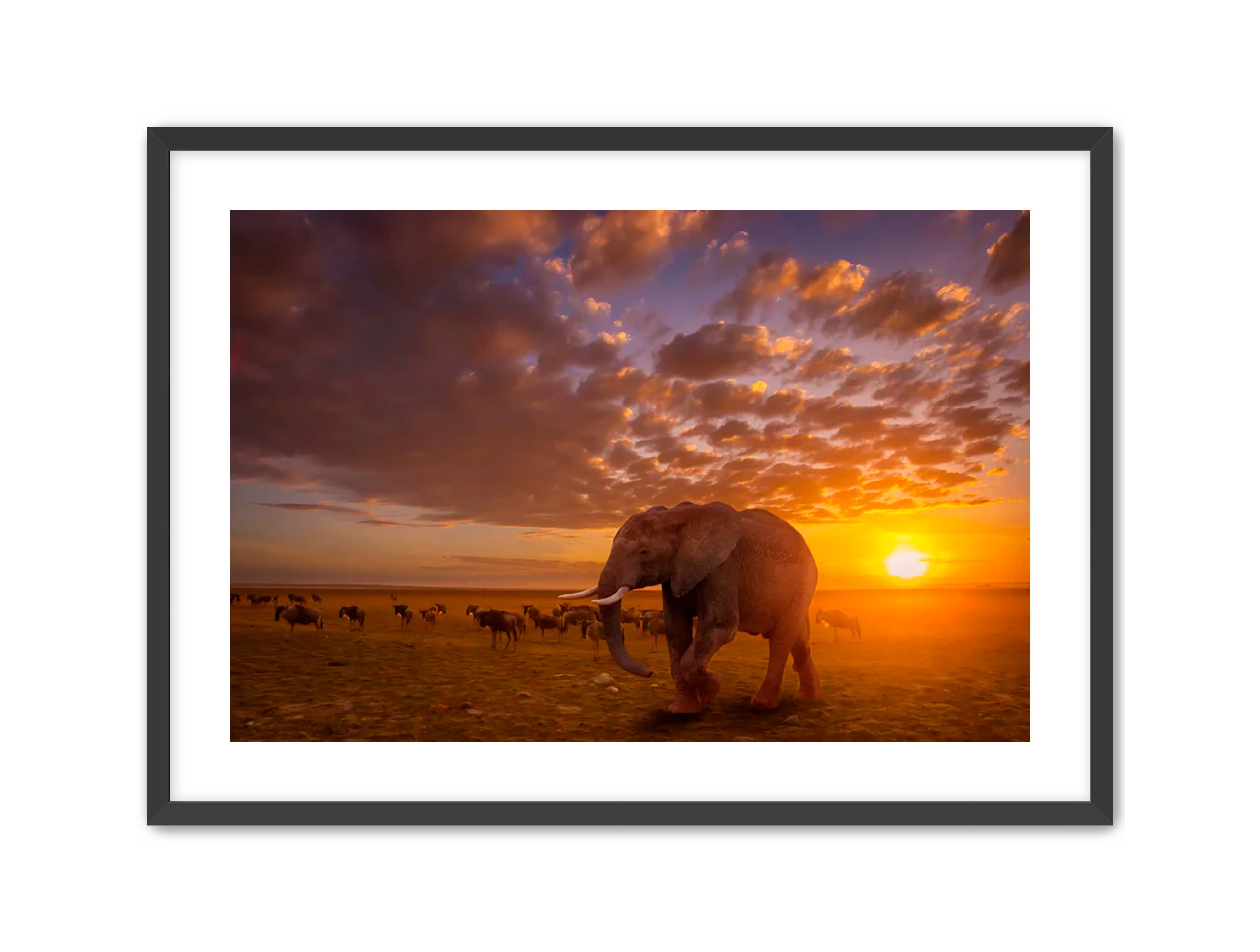 Apricus Prints 'SUNSET WANDERERS' Apricus Art Collection