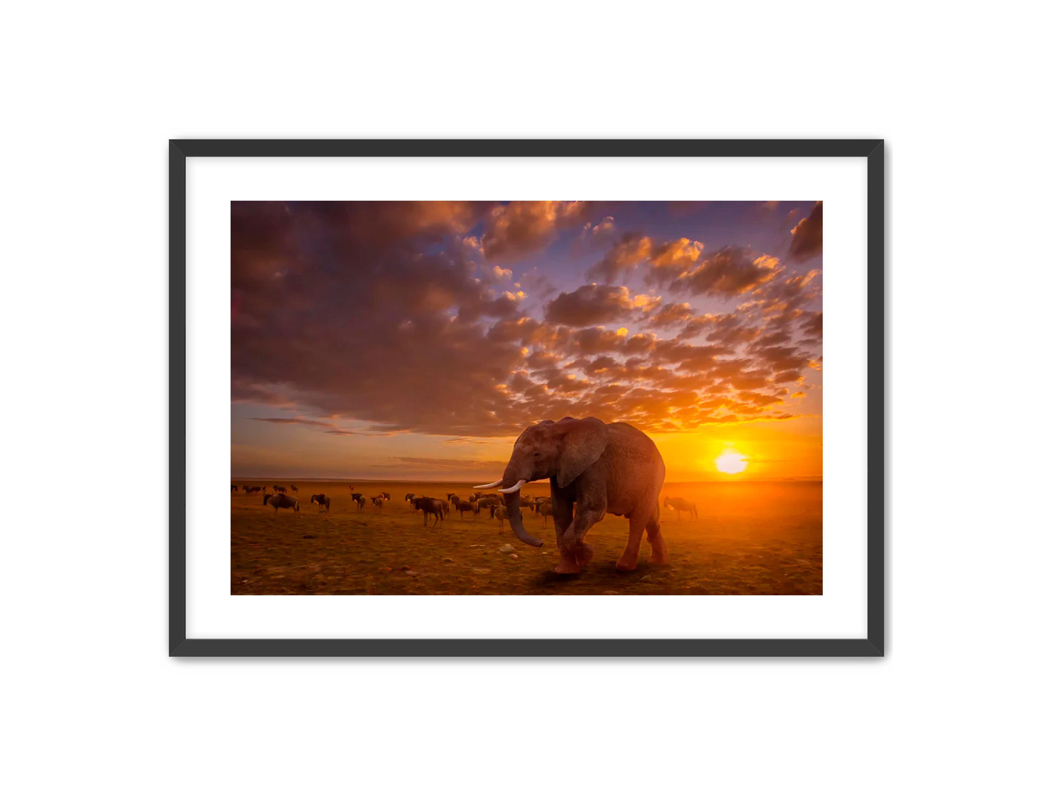 Apricus Prints 'SUNSET WANDERERS' Apricus Art Collection