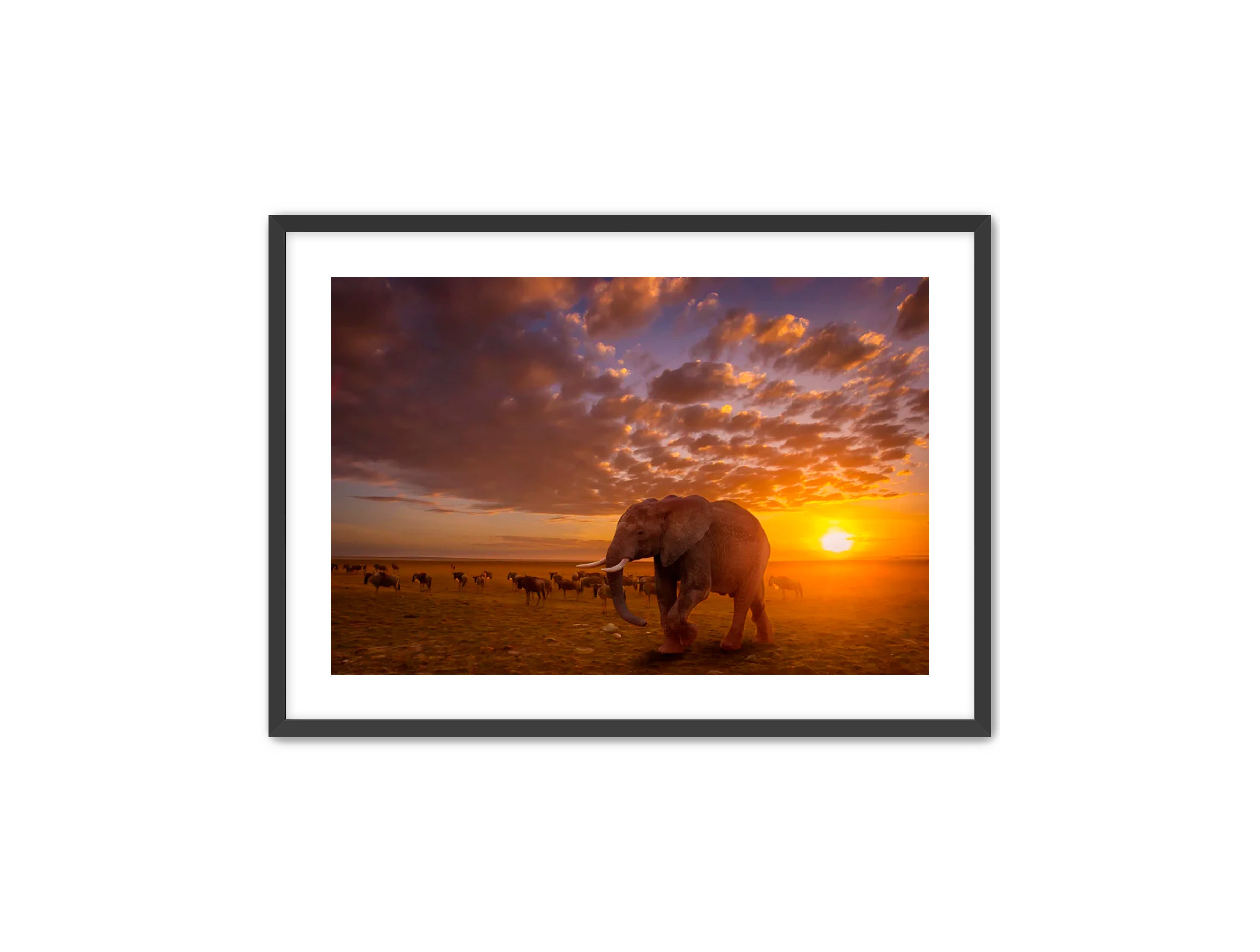 Apricus Prints 'SUNSET WANDERERS' Apricus Art Collection