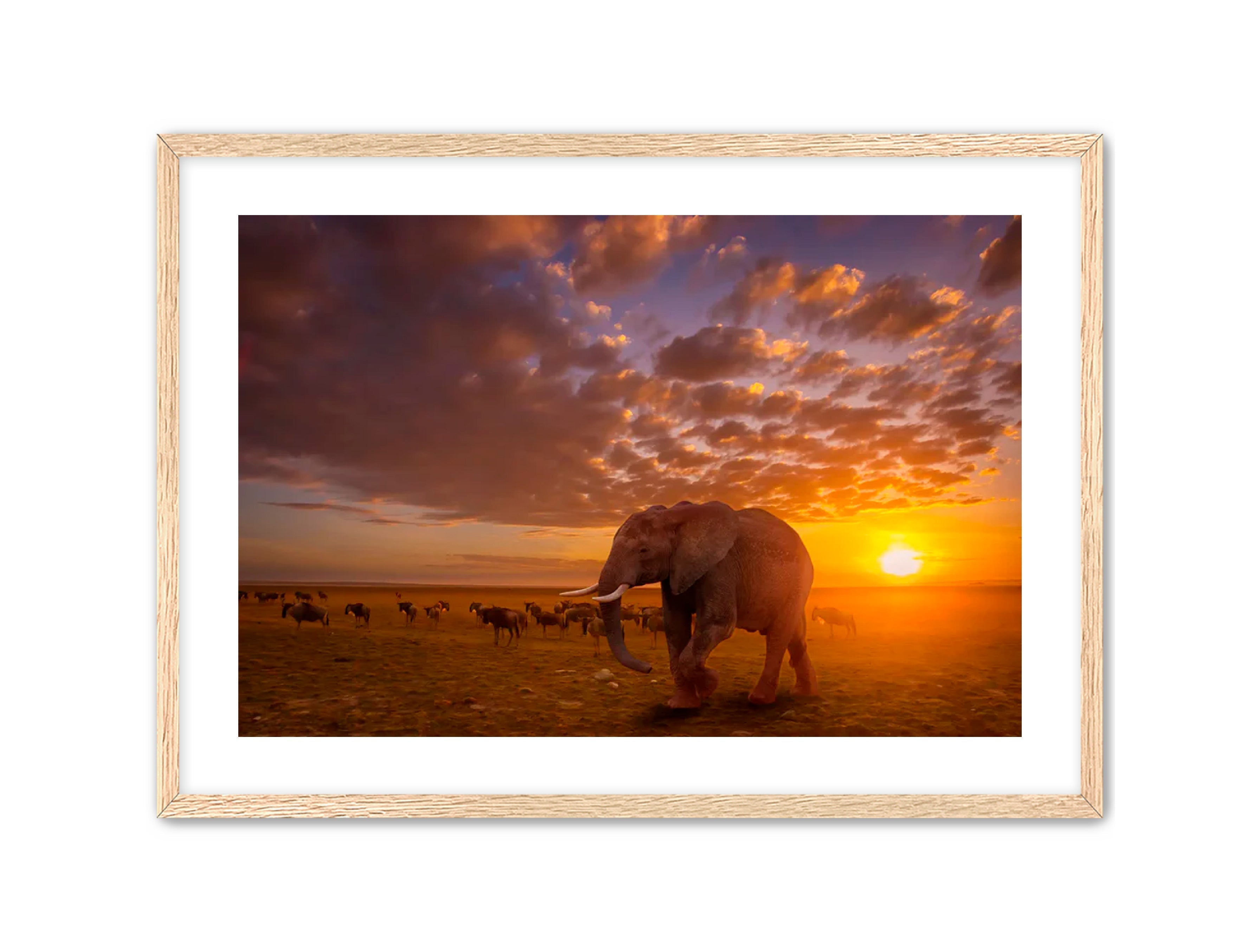 Apricus Prints 'SUNSET WANDERERS' Apricus Art Collection