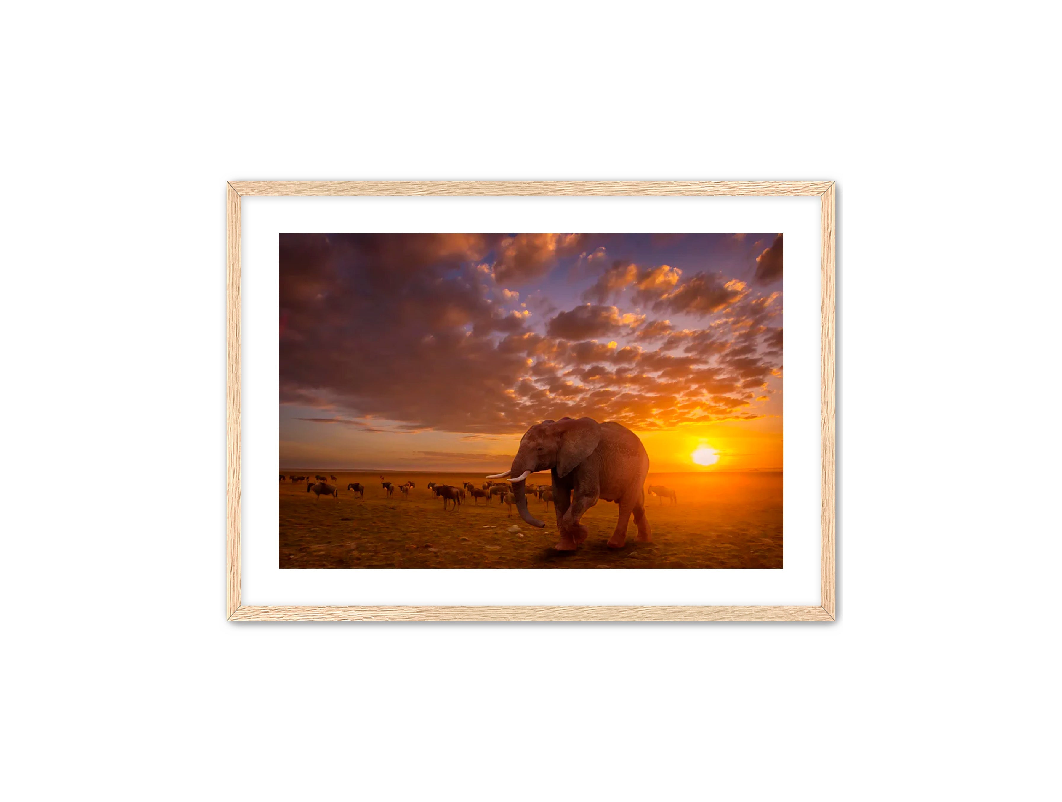 Apricus Prints 'SUNSET WANDERERS' Apricus Art Collection