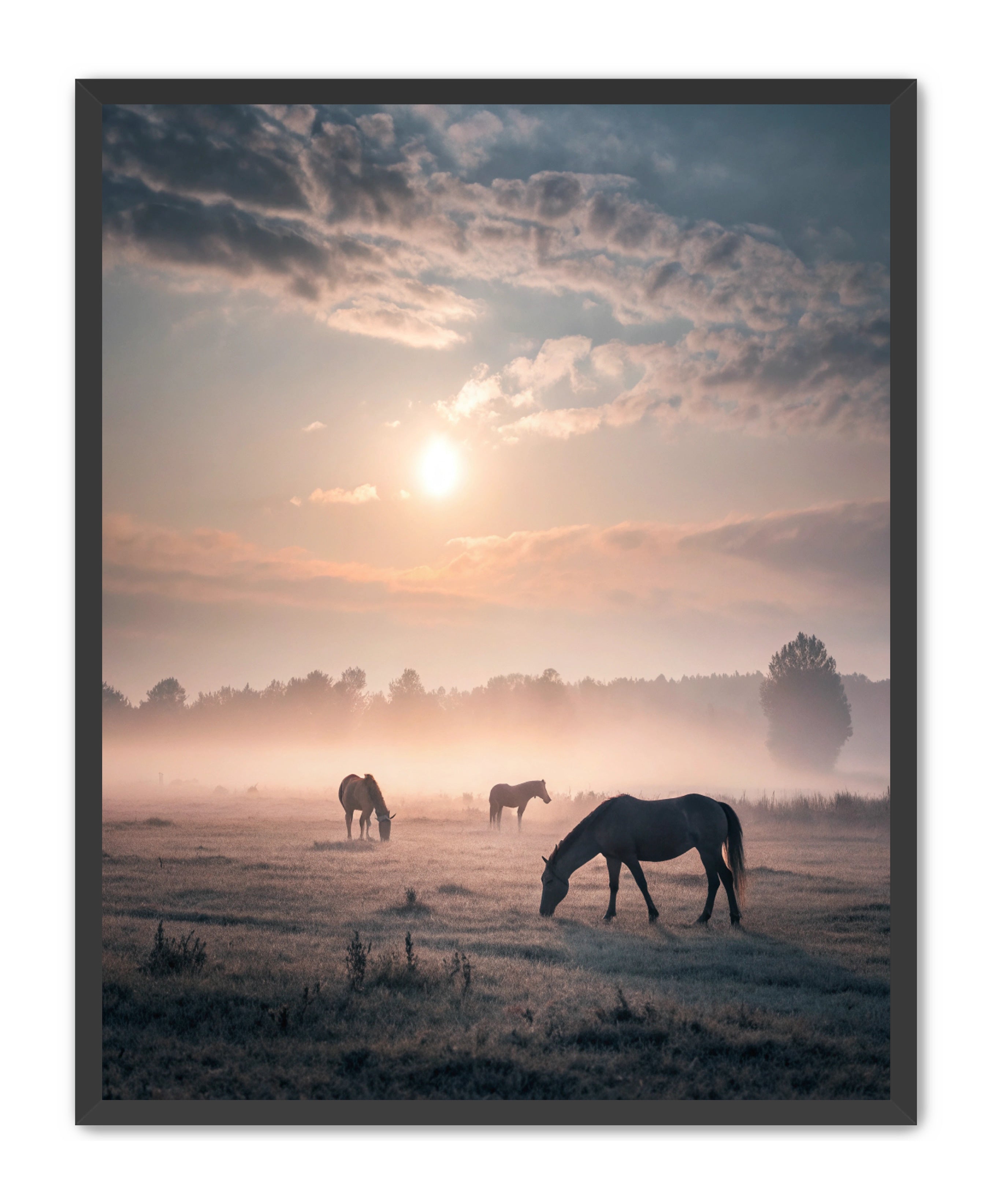 Apricus Prints Vaquero 'Simple Sunrise' Apricus Art Collection