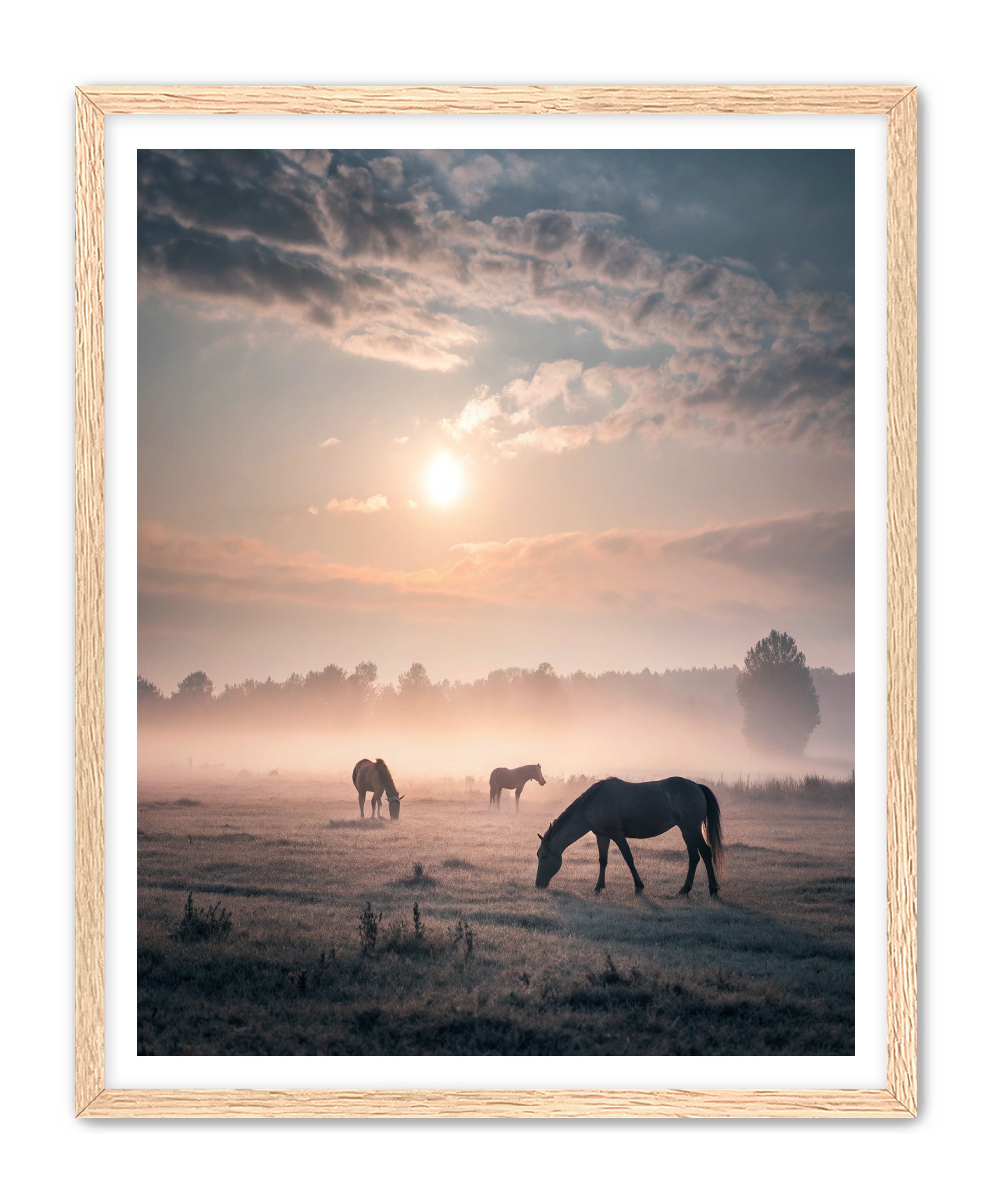 Apricus Prints Vaquero 'Simple Sunrise' Apricus Art Collection