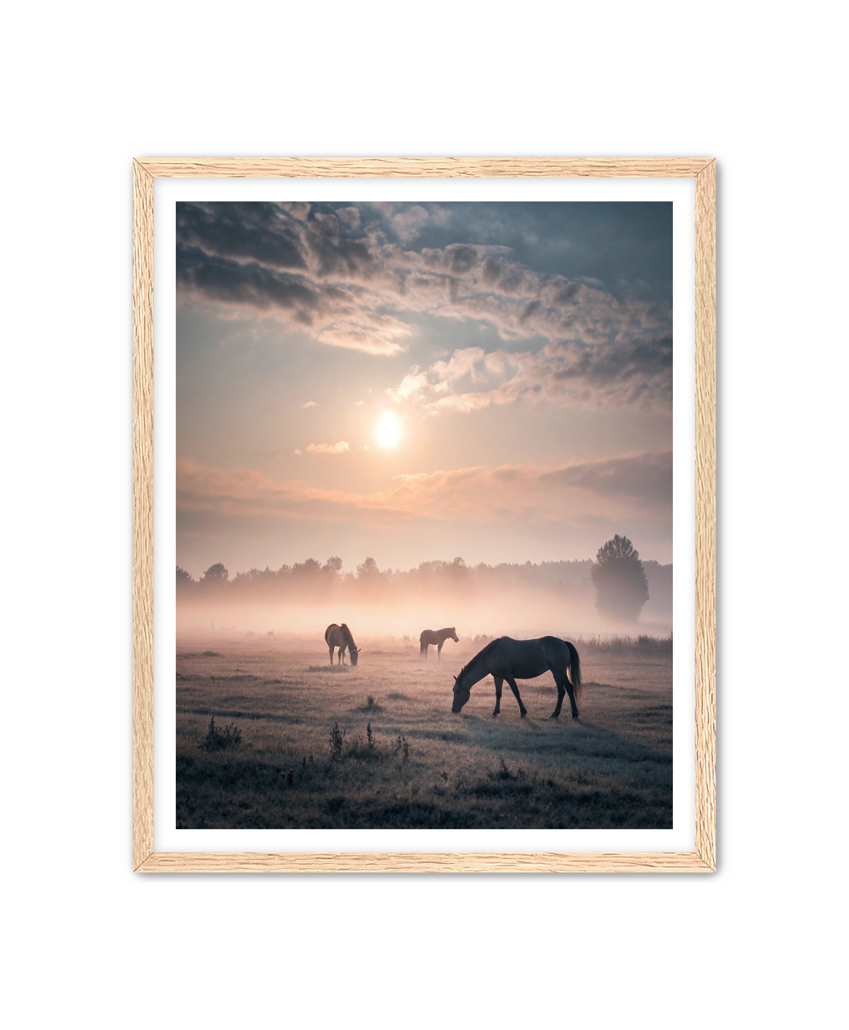 Apricus Prints Vaquero 'Simple Sunrise' Apricus Art Collection