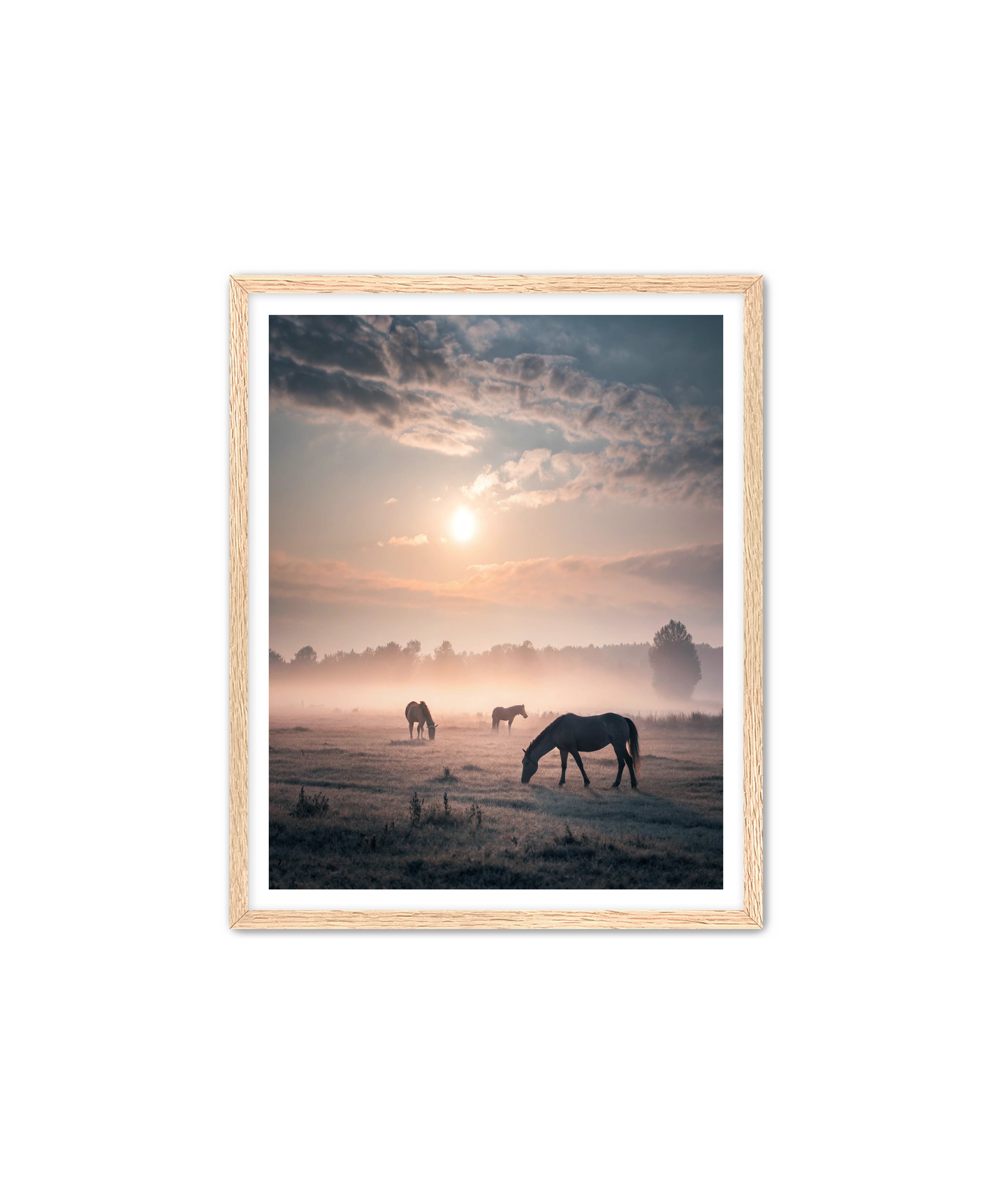 Apricus Prints Vaquero 'Simple Sunrise' Apricus Art Collection