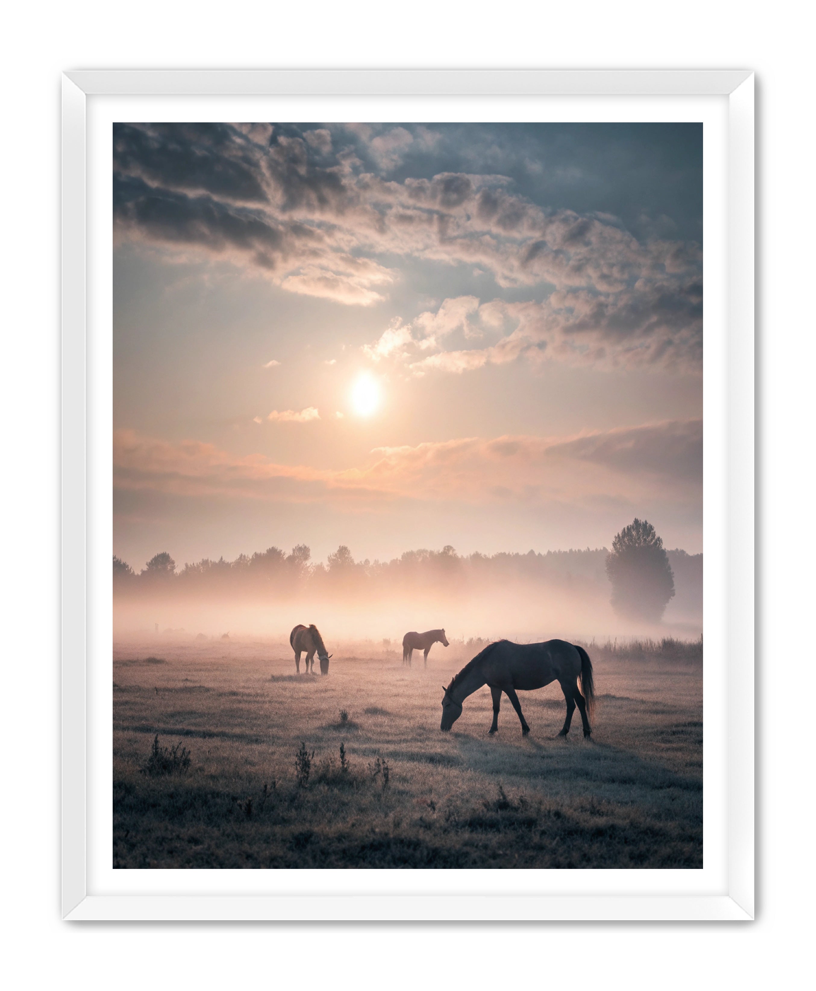 Apricus Prints Vaquero 'Simple Sunrise' Apricus Art Collection