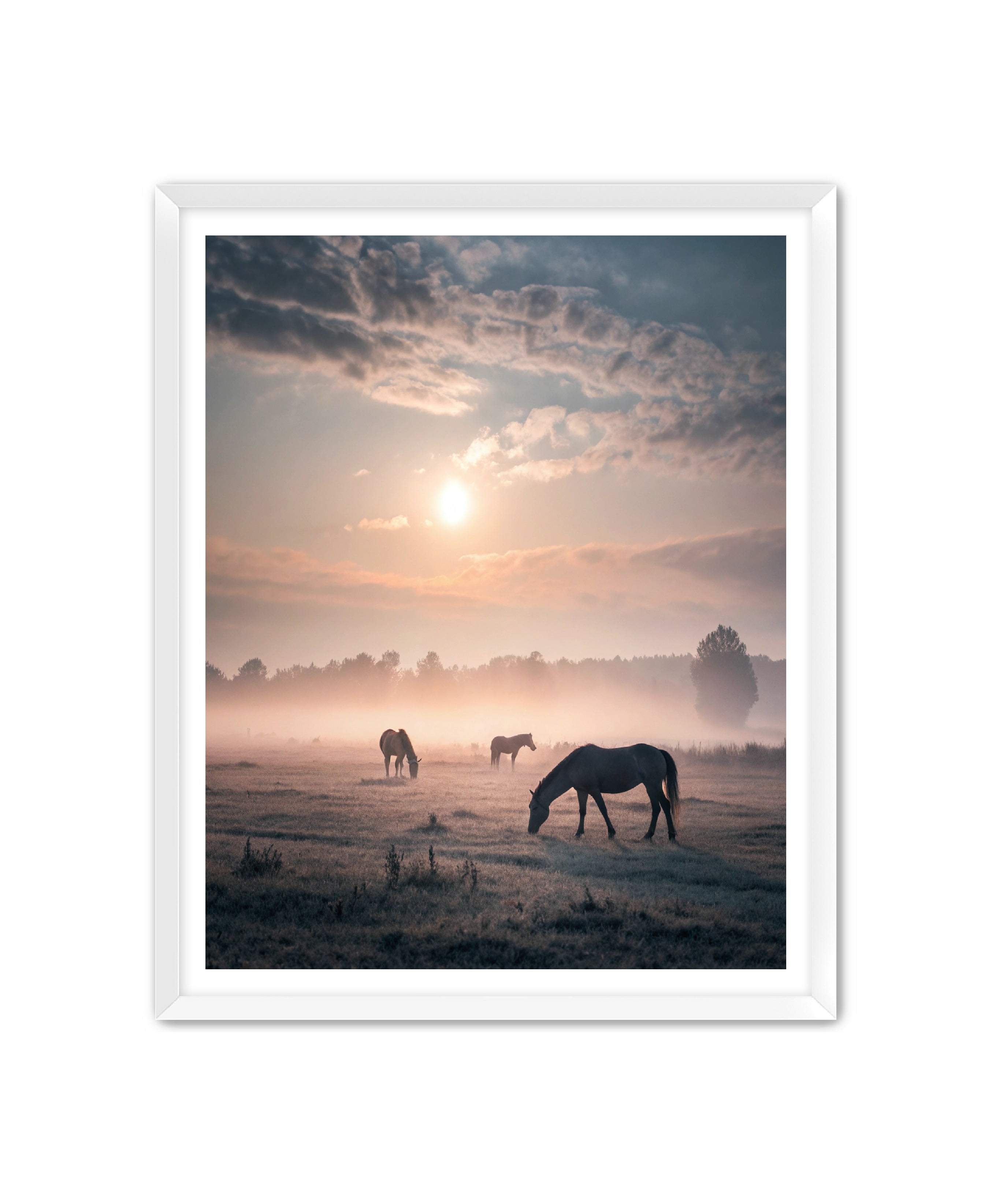 Apricus Prints Vaquero 'Simple Sunrise' Apricus Art Collection