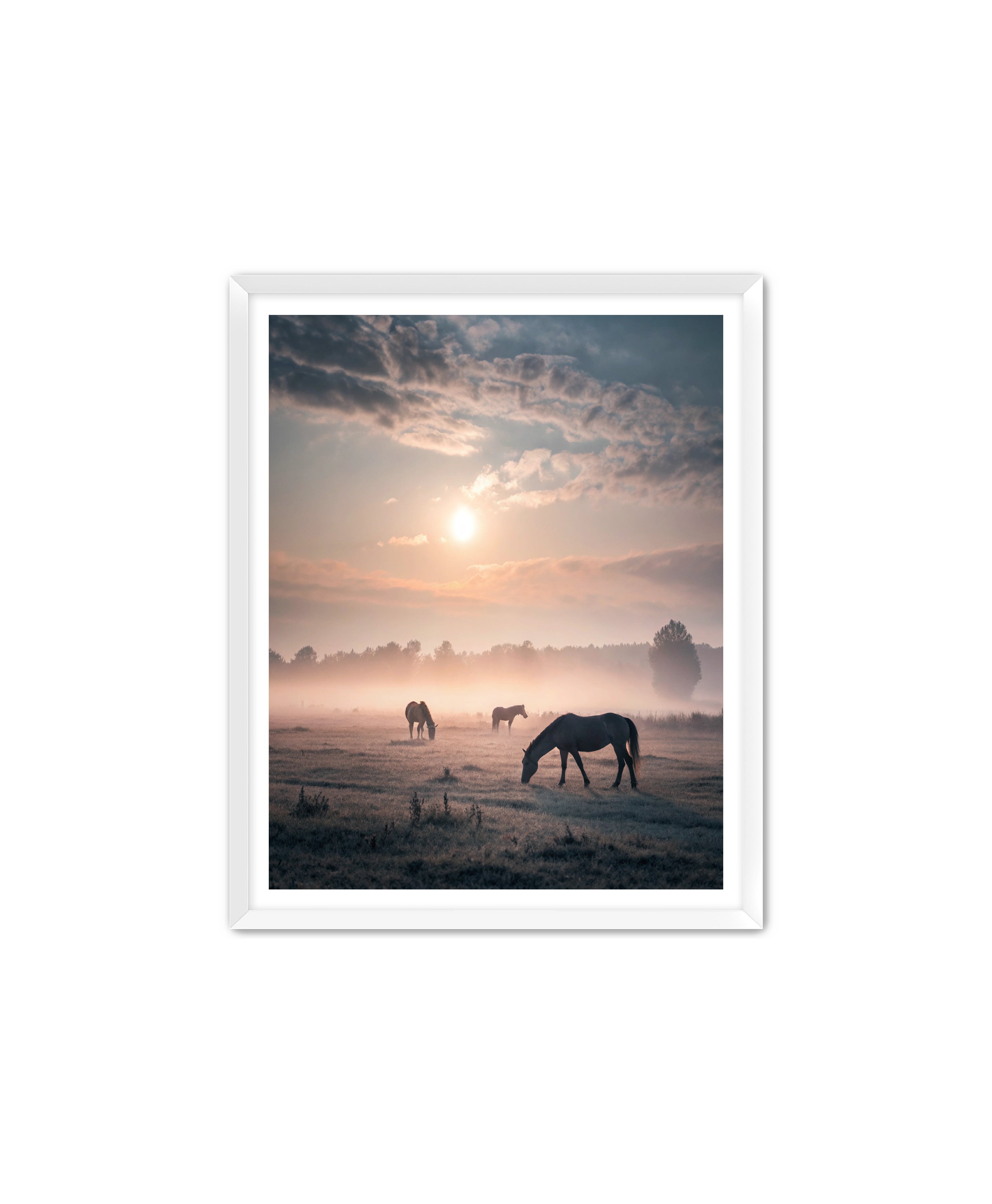 Apricus Prints Vaquero 'Simple Sunrise' Apricus Art Collection