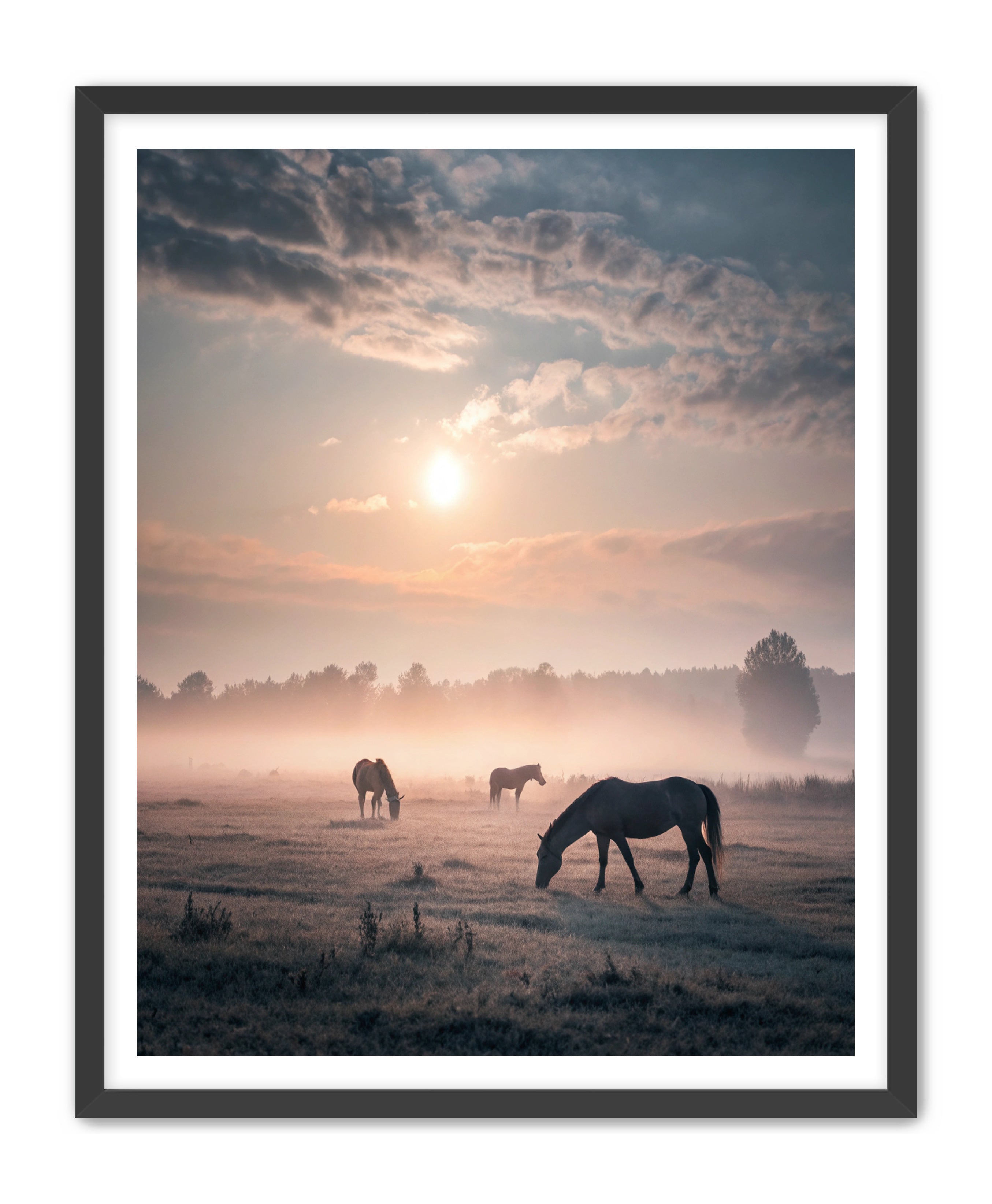 Apricus Prints Vaquero 'Simple Sunrise' Apricus Art Collection