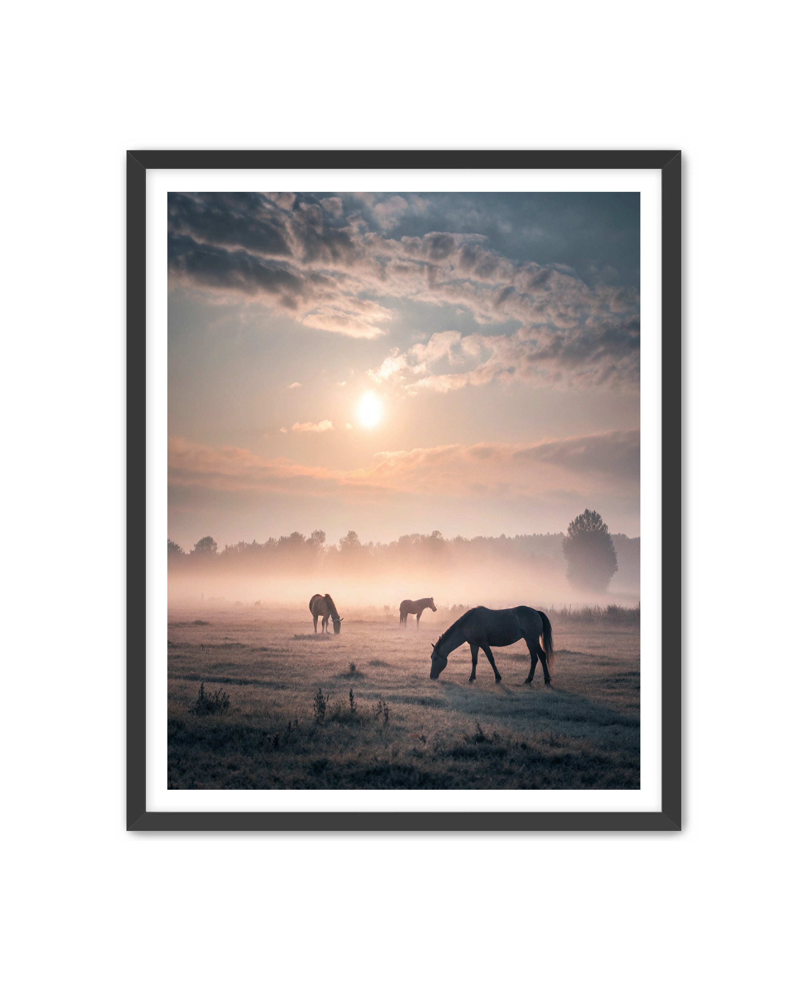 Apricus Prints Vaquero 'Simple Sunrise' Apricus Art Collection