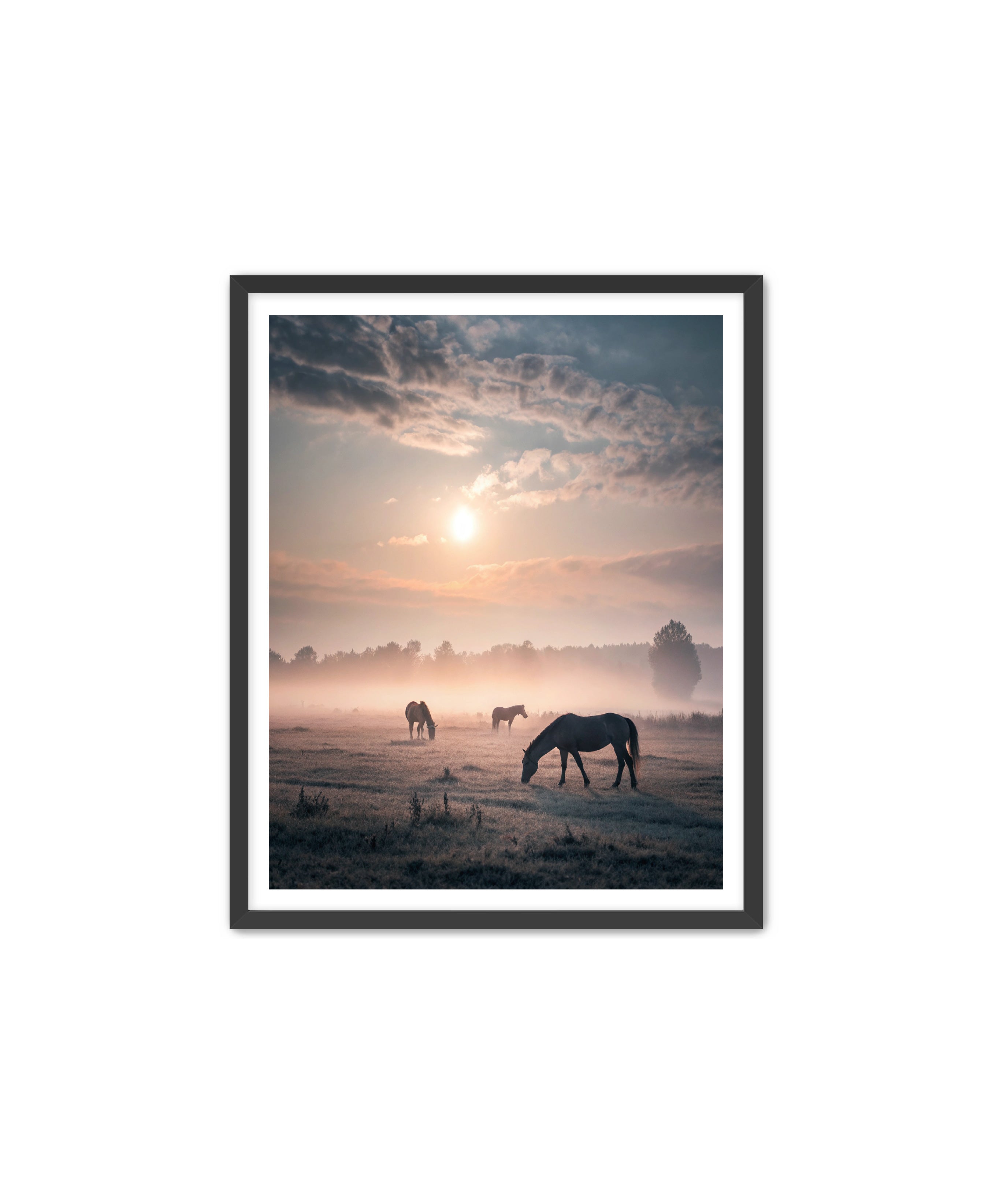 Apricus Prints Vaquero 'Simple Sunrise' Apricus Art Collection