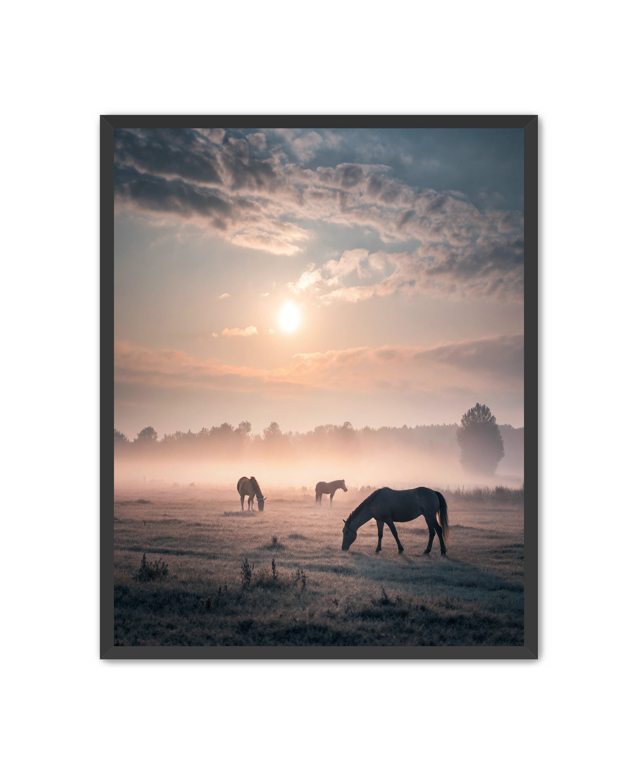 Apricus Prints Vaquero 'Simple Sunrise' Apricus Art Collection