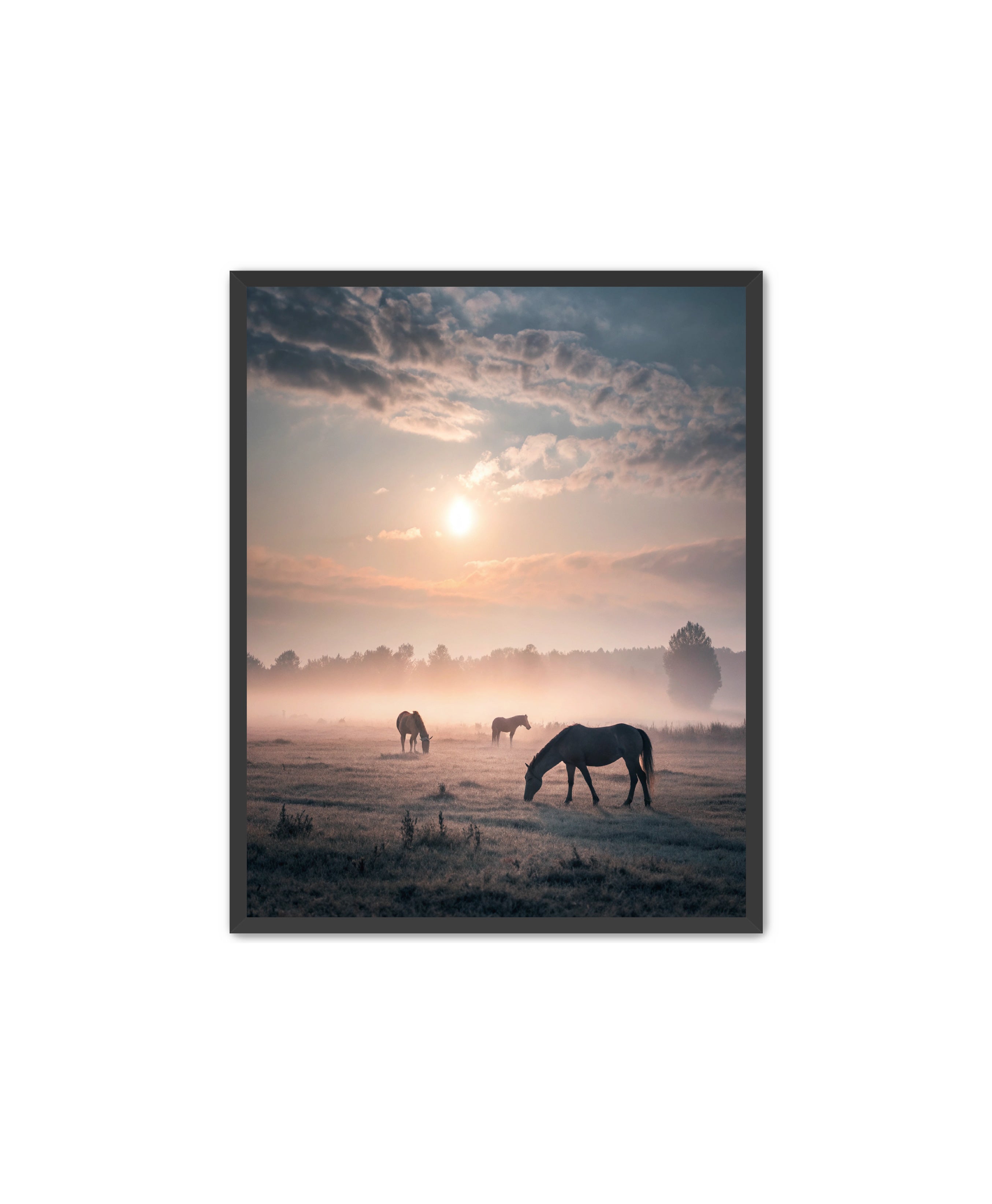 Apricus Prints Vaquero 'Simple Sunrise' Apricus Art Collection