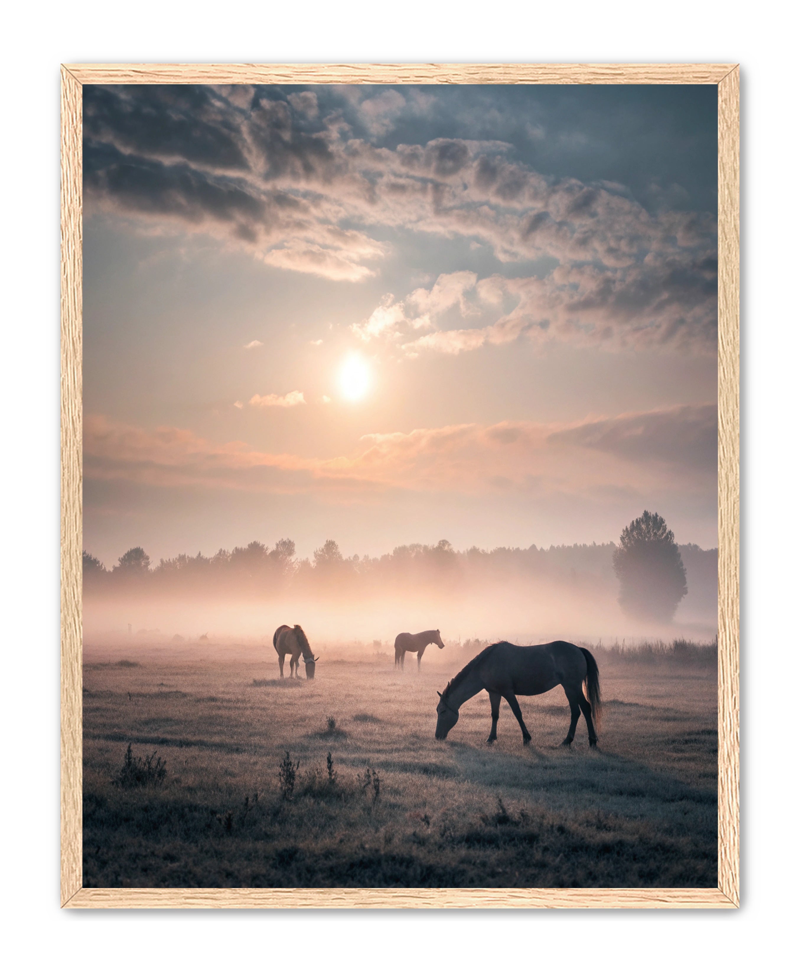 Apricus Prints Vaquero 'Simple Sunrise' Apricus Art Collection