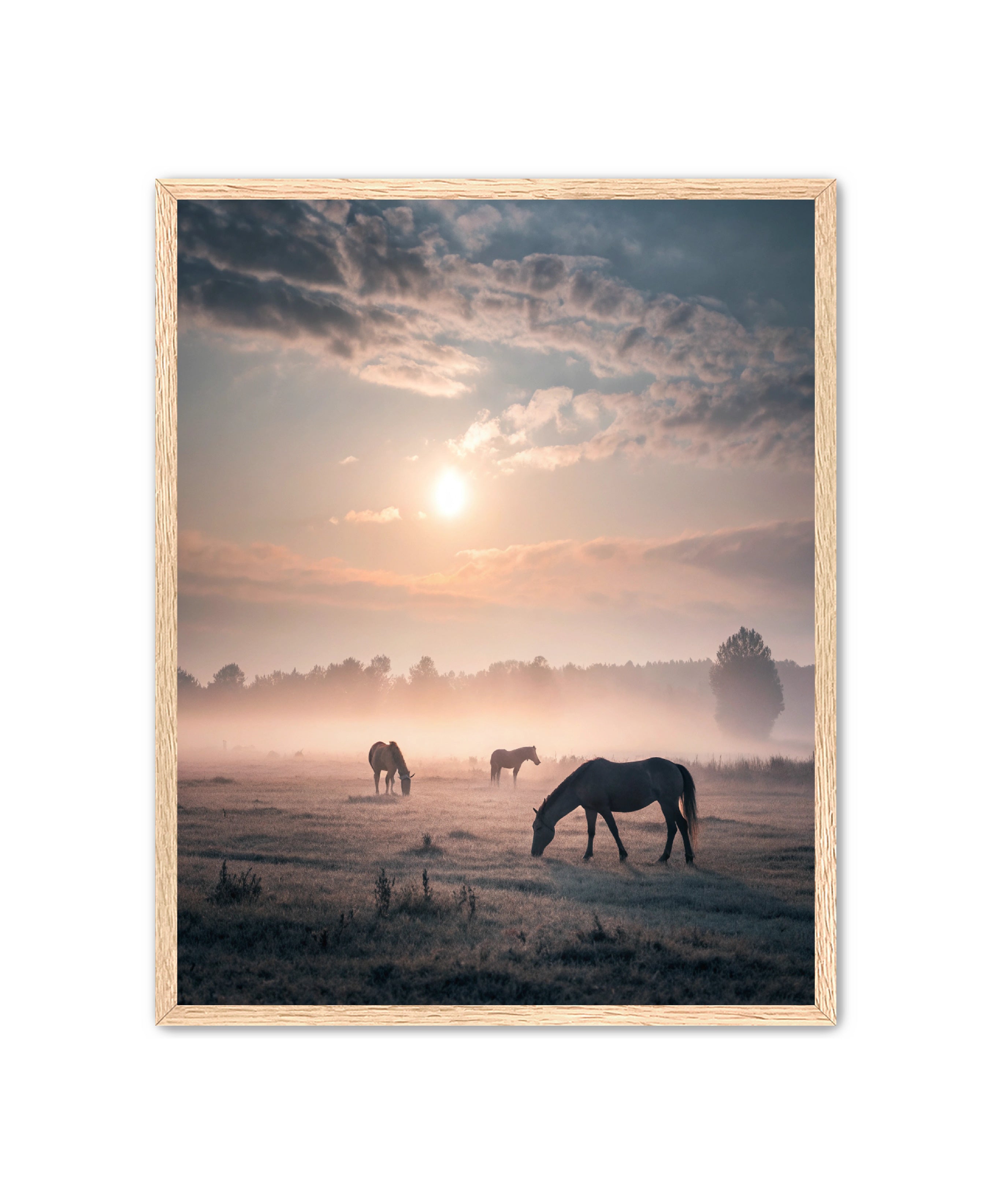 Apricus Prints Vaquero 'Simple Sunrise' Apricus Art Collection