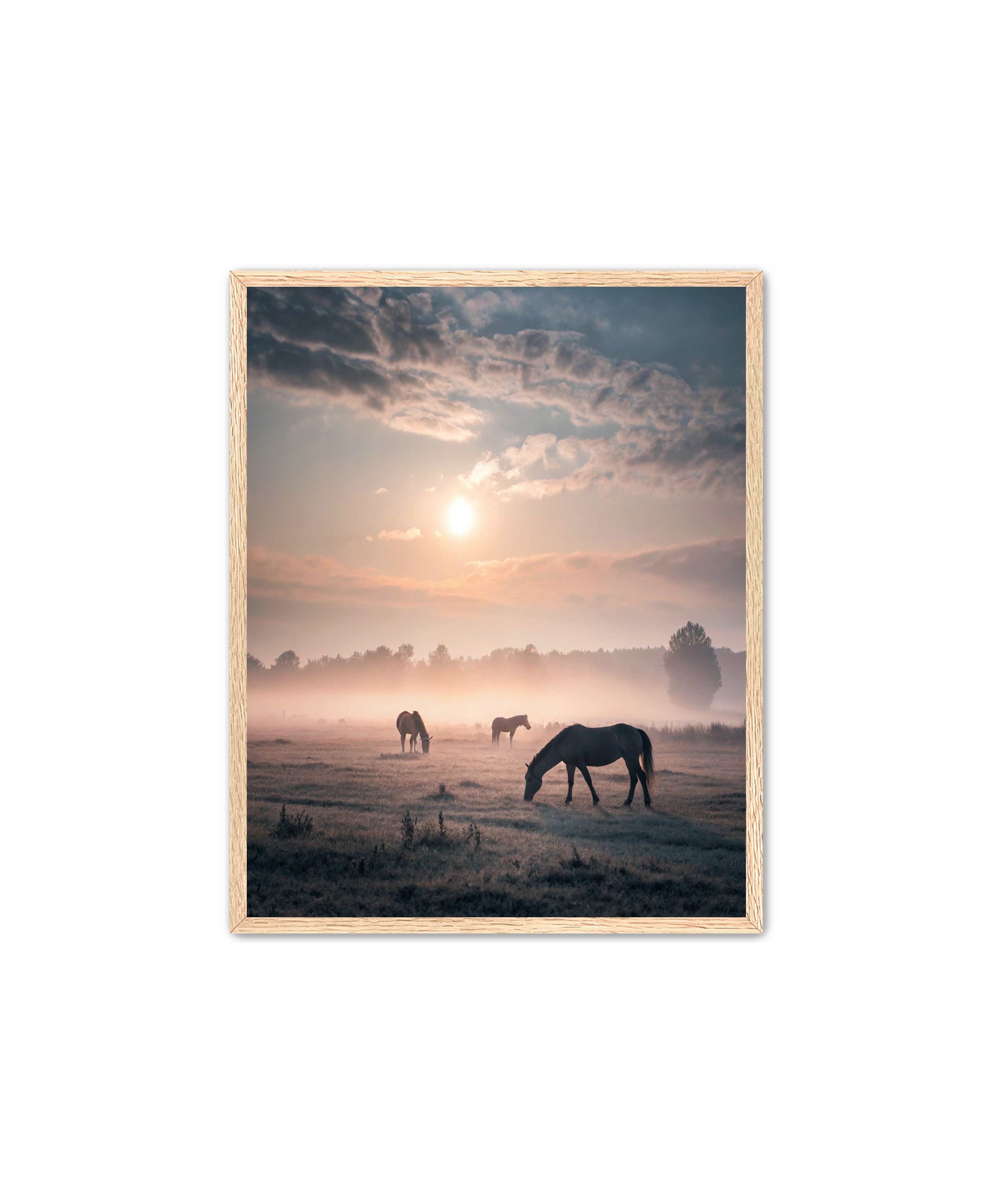 Apricus Prints Vaquero 'Simple Sunrise' Apricus Art Collection