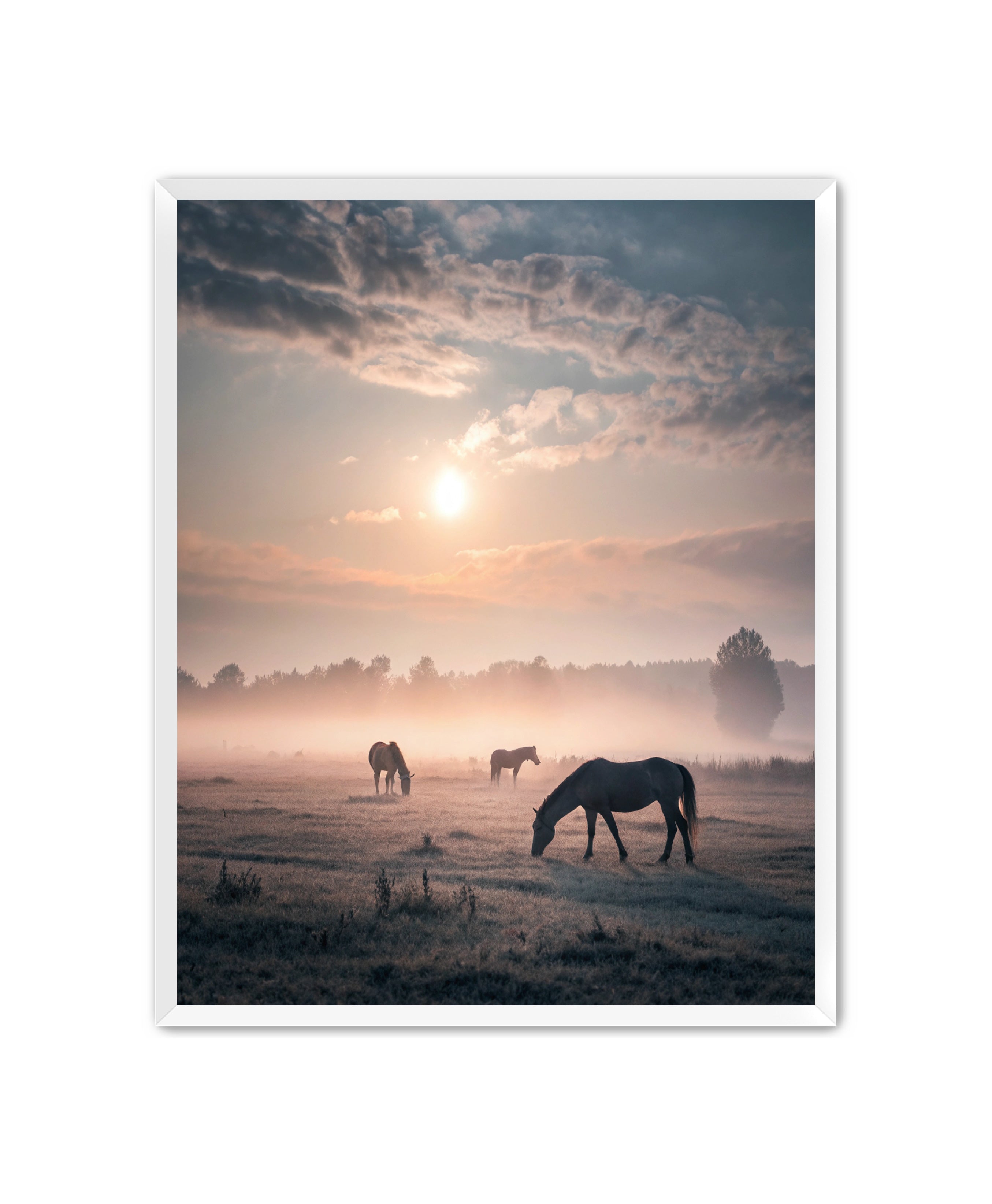 Apricus Prints Vaquero 'Simple Sunrise' Apricus Art Collection