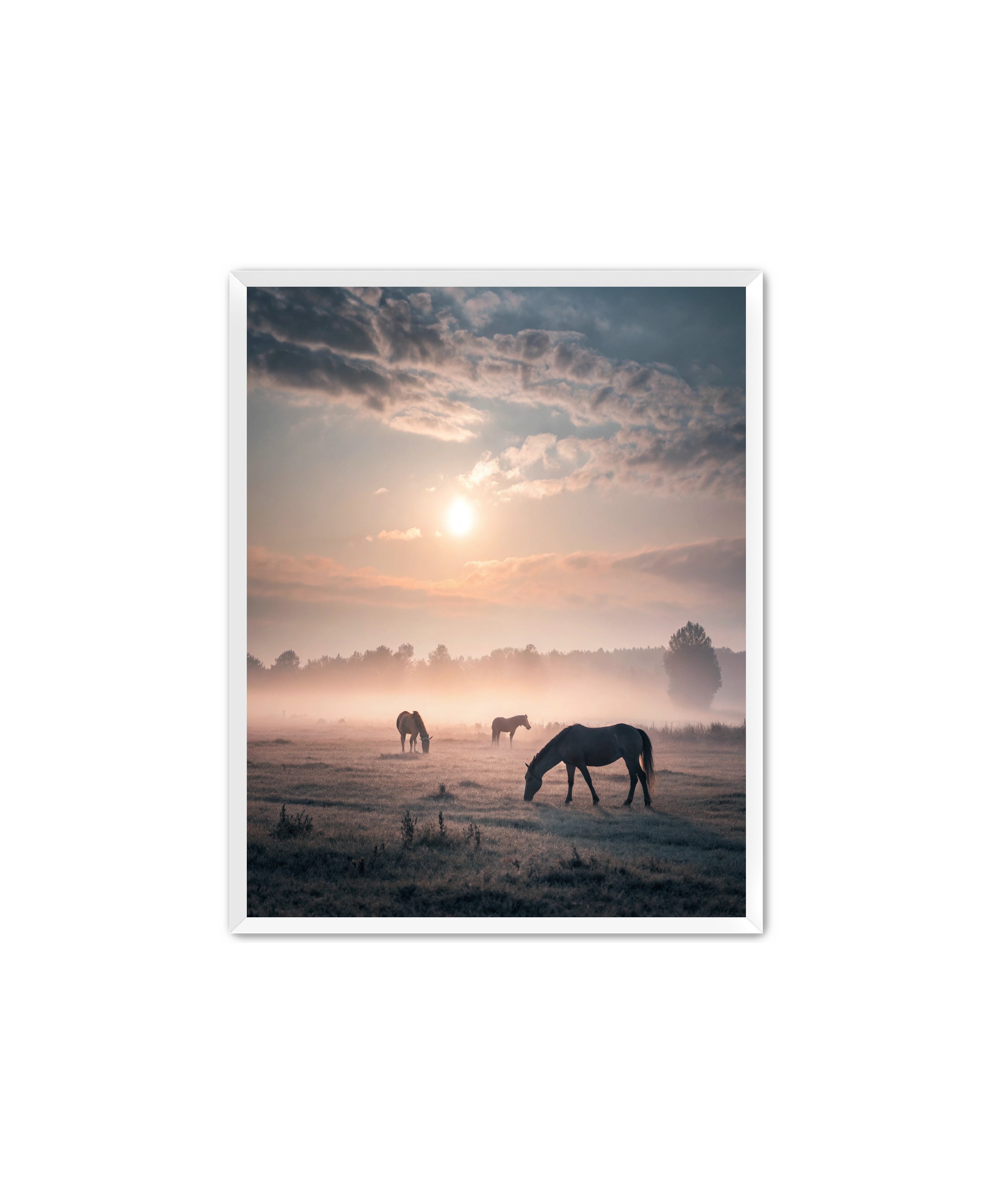 Apricus Prints Vaquero 'Simple Sunrise' Apricus Art Collection