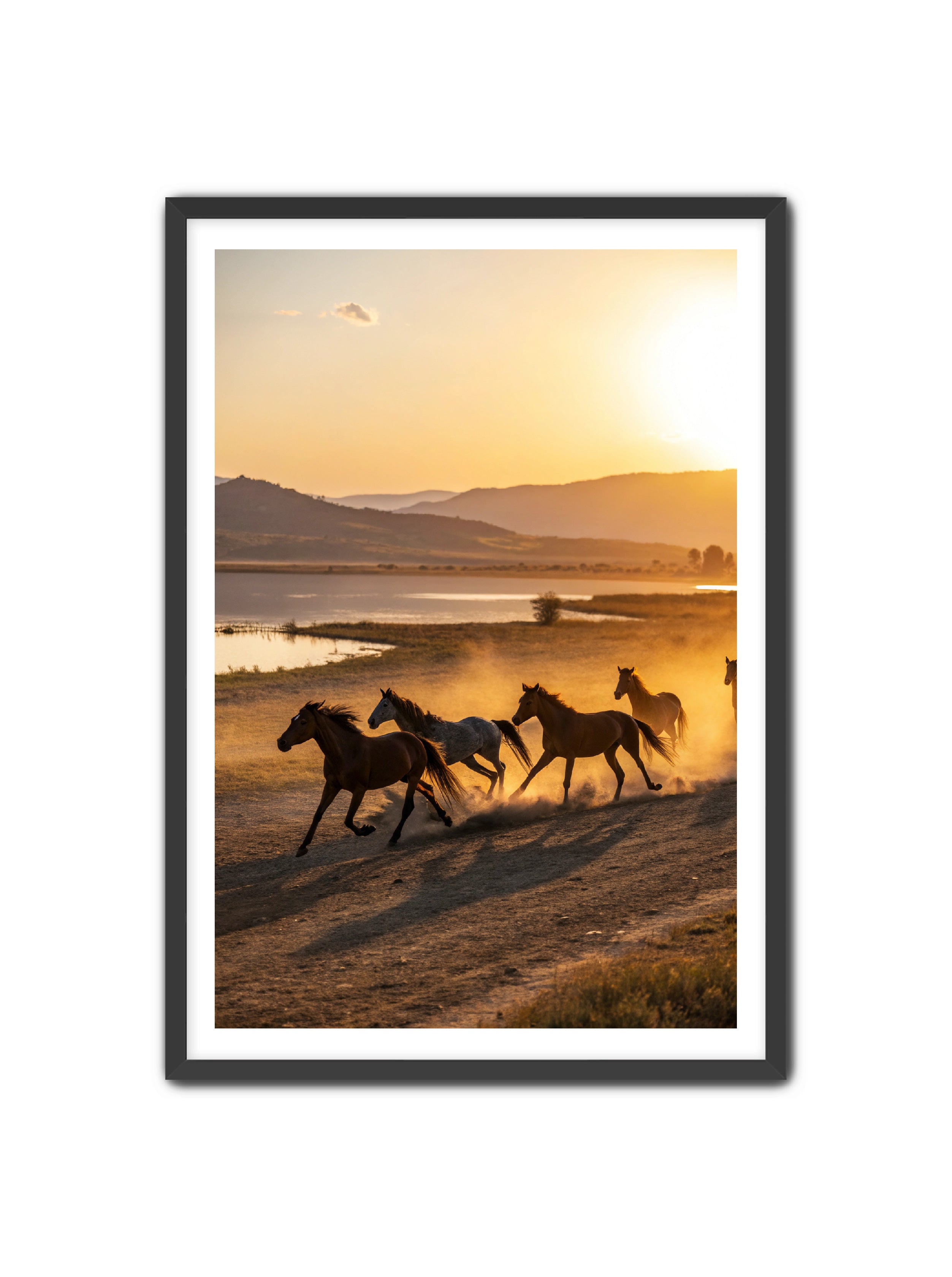 Apricus Prints Vaquero 'Song of The Plains' Apricus Art Collection