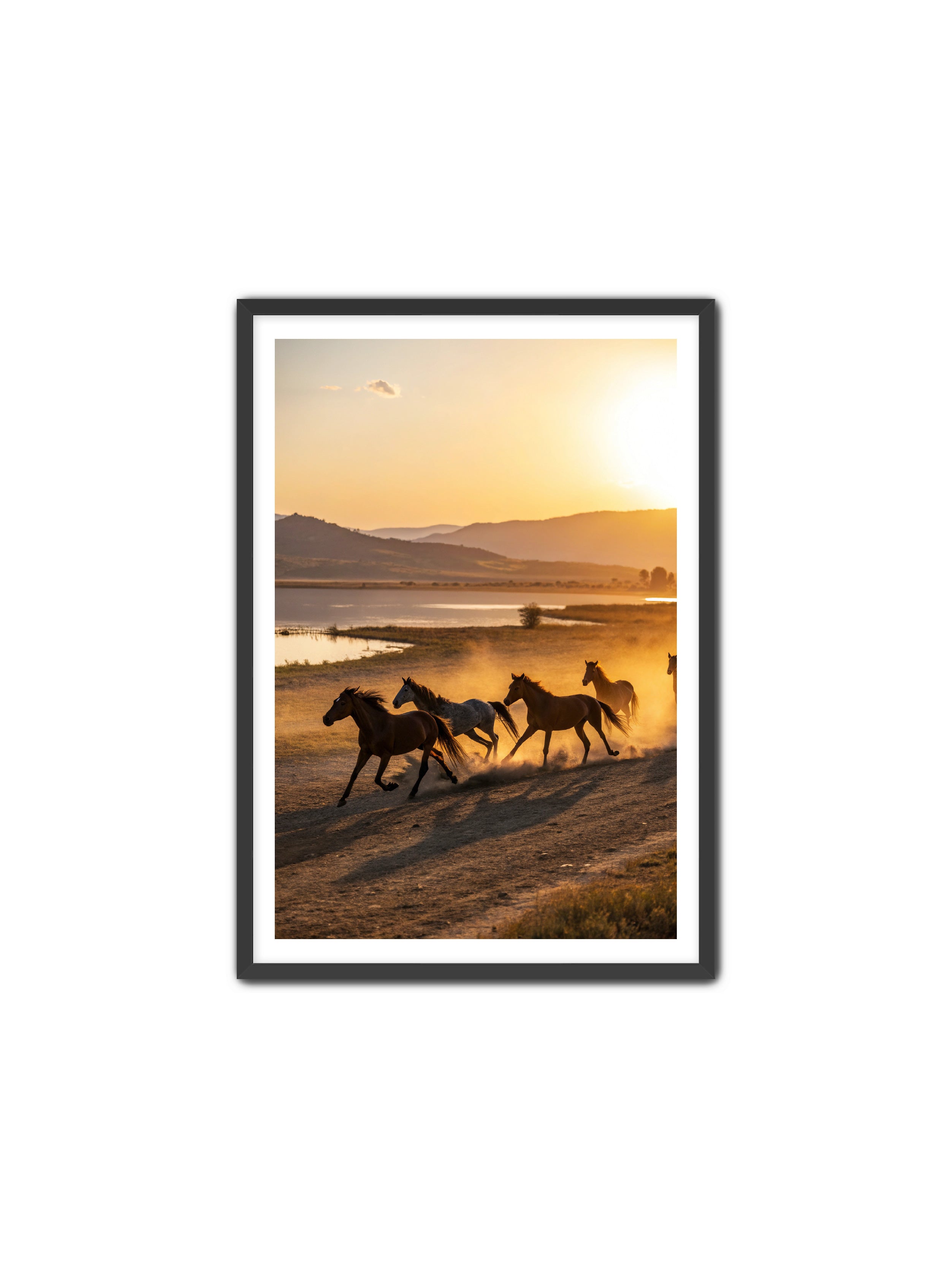 Apricus Prints Vaquero 'Song of The Plains' Apricus Art Collection