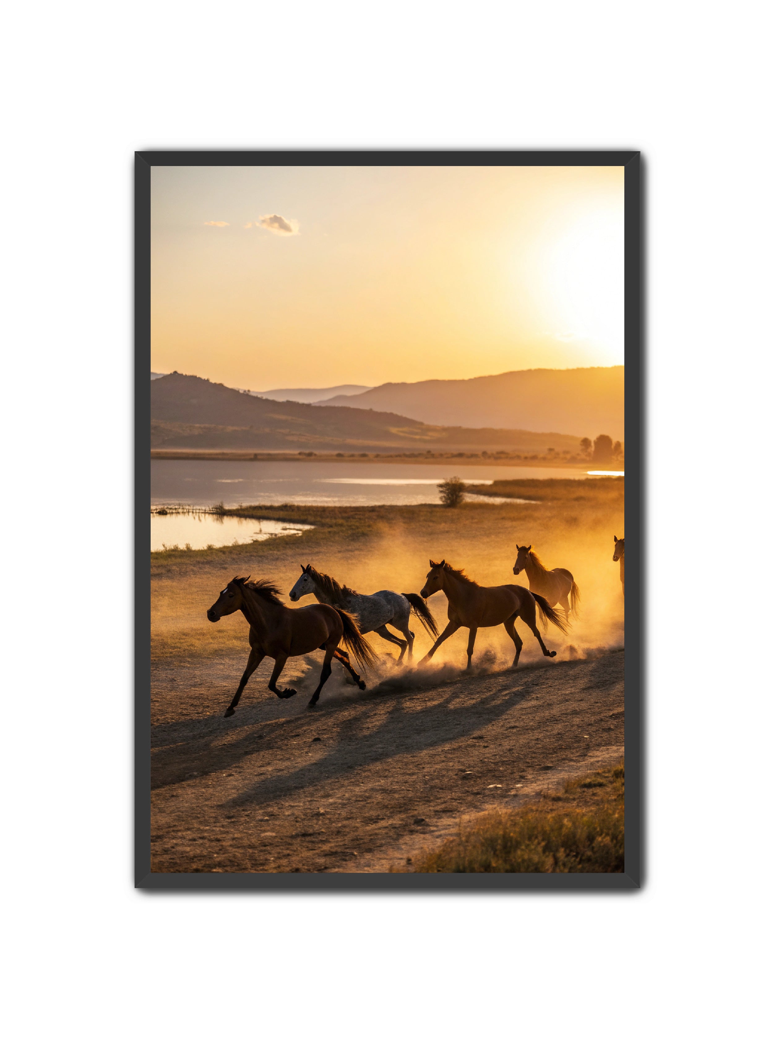 Apricus Prints Vaquero 'Song of The Plains' Apricus Art Collection