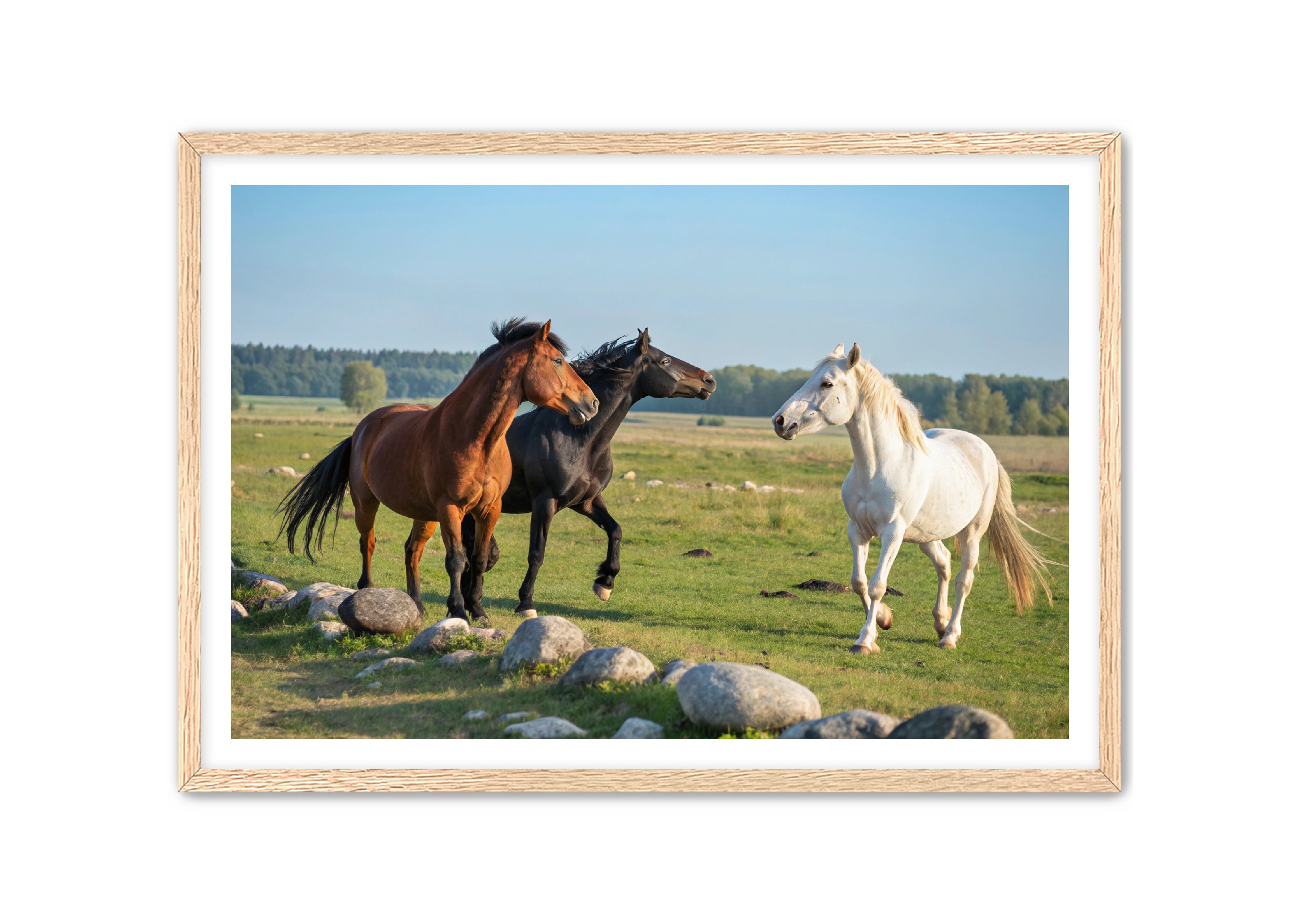 Apricus Prints Vaquero 'Trio of The Field' Apricus Art Collection